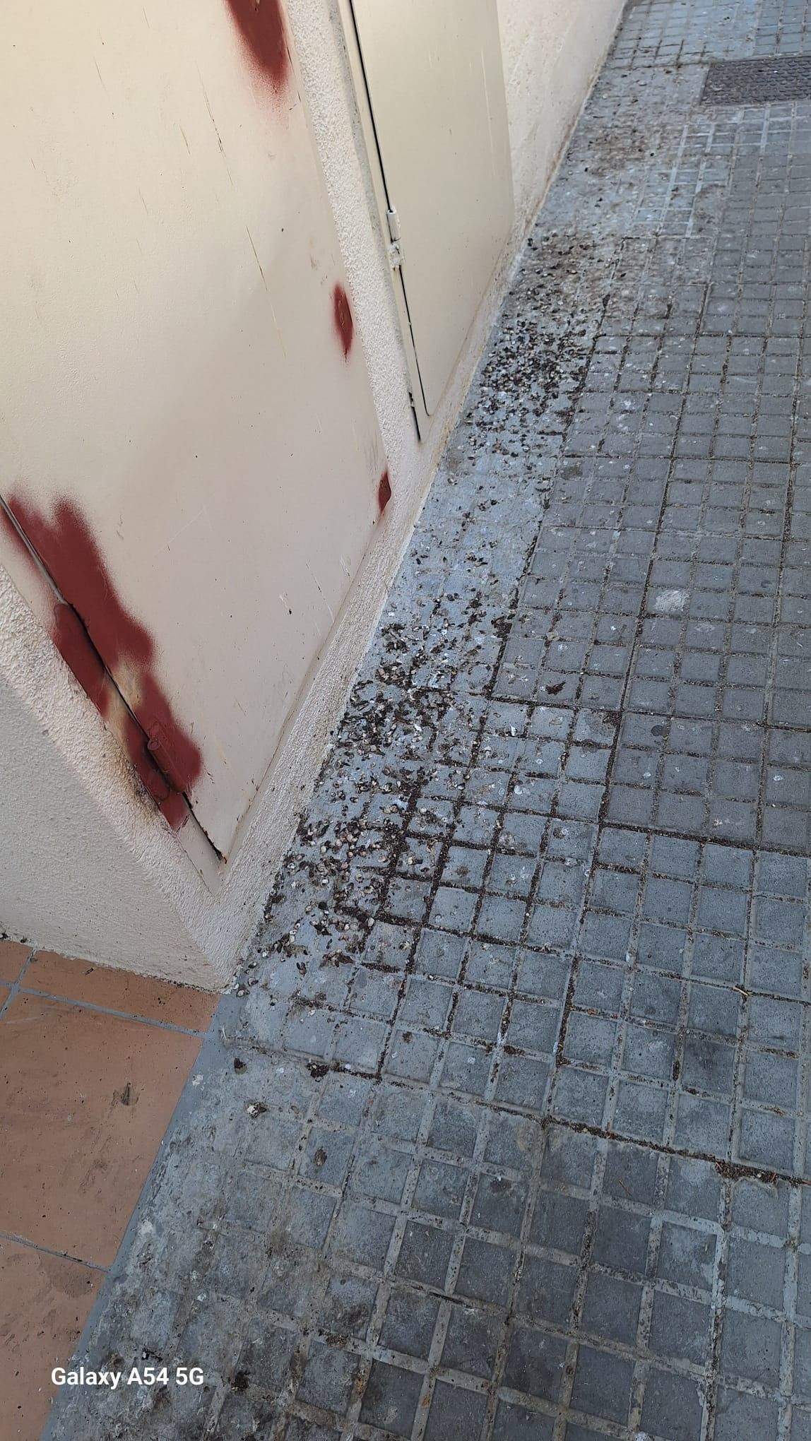 Ocells i cagarades. FOTO: Maria Corbella