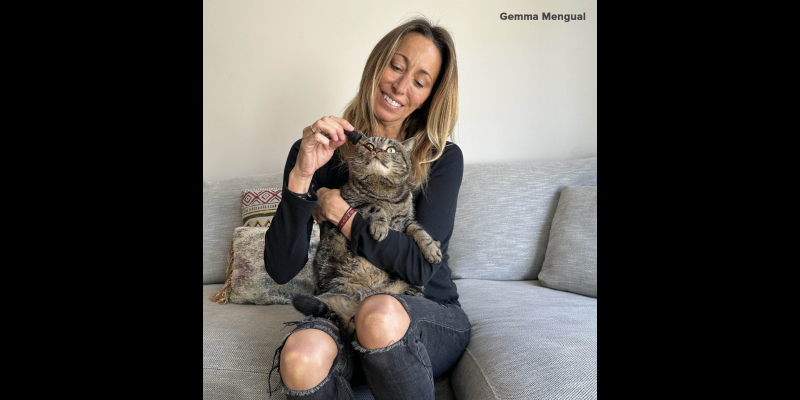 Plantilla fitxes TOT Global (4)