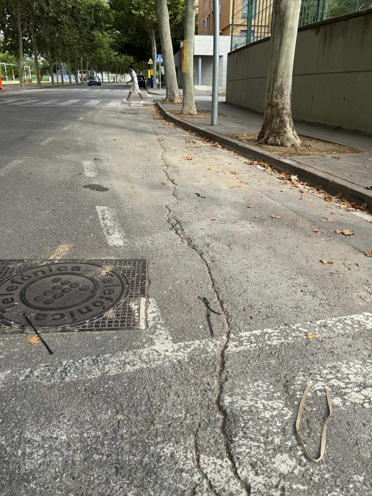 WhatsApp Image 2025 07 23 at 11.56.09 (1)