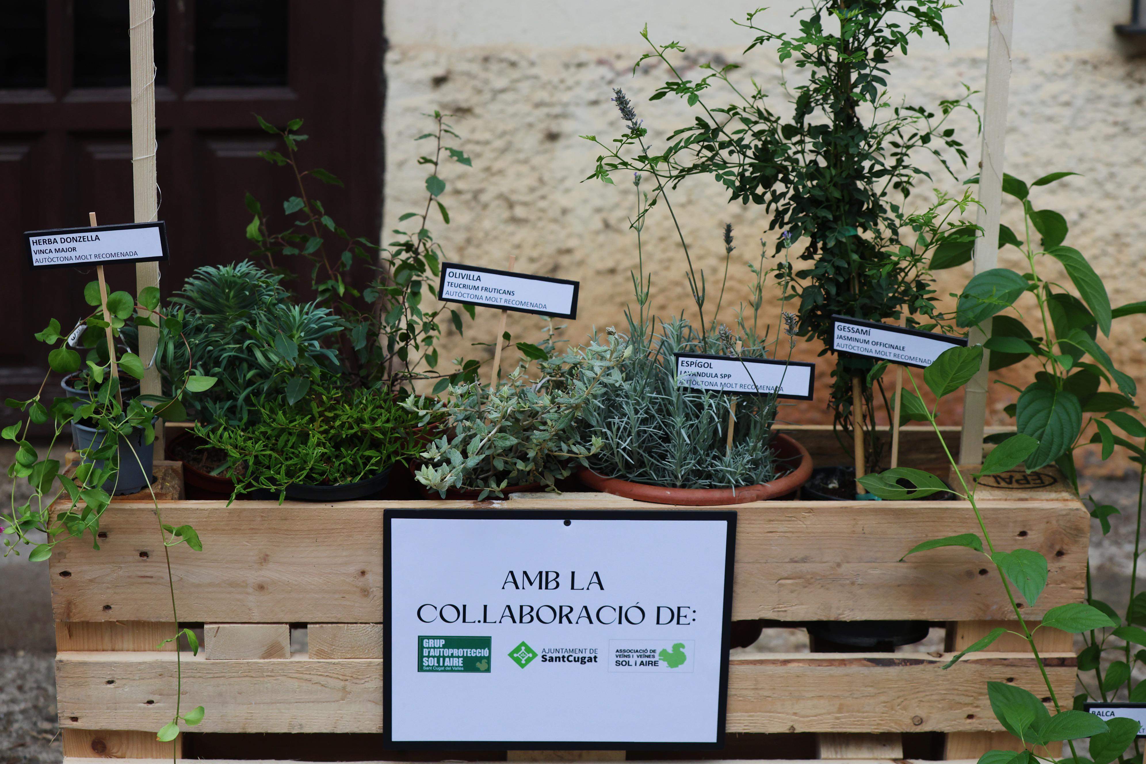 Pregó de la Festa Major de Sol i Aire. FOTO: Ajuntament