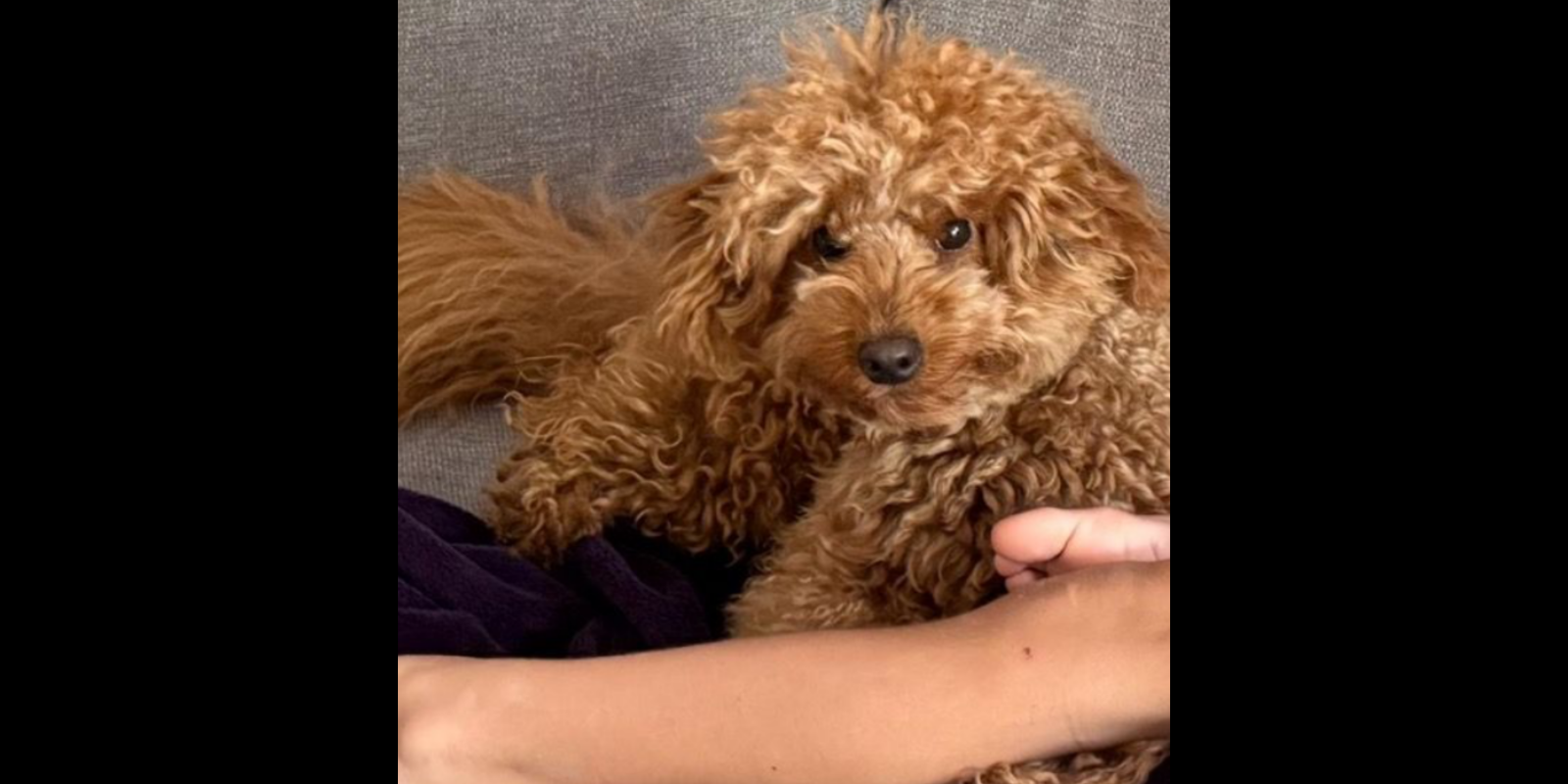 El Drac. FOTO: Cedida