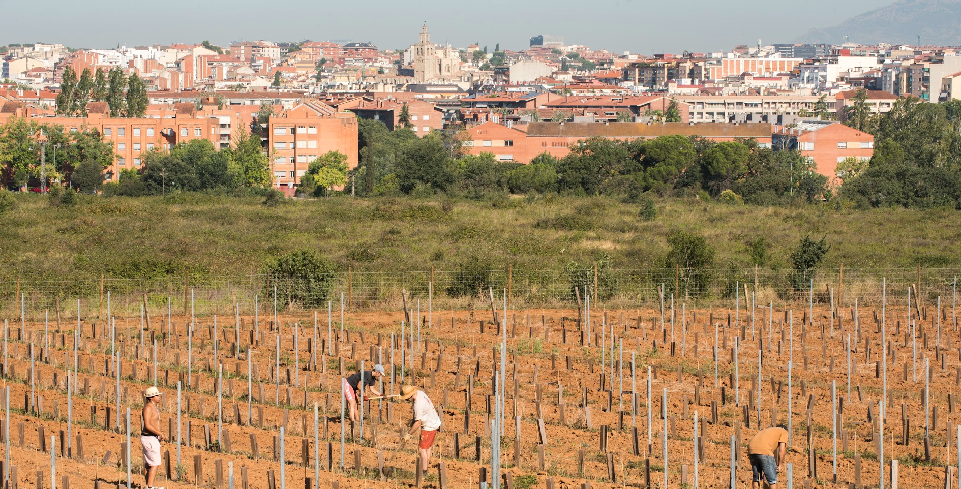 L'Estratègia d’Actuació Municipal 2030 defineix els grans reptes socials, ambientals i econòmics. FOTO: Bernat Millet (TOT Sant Cugat)