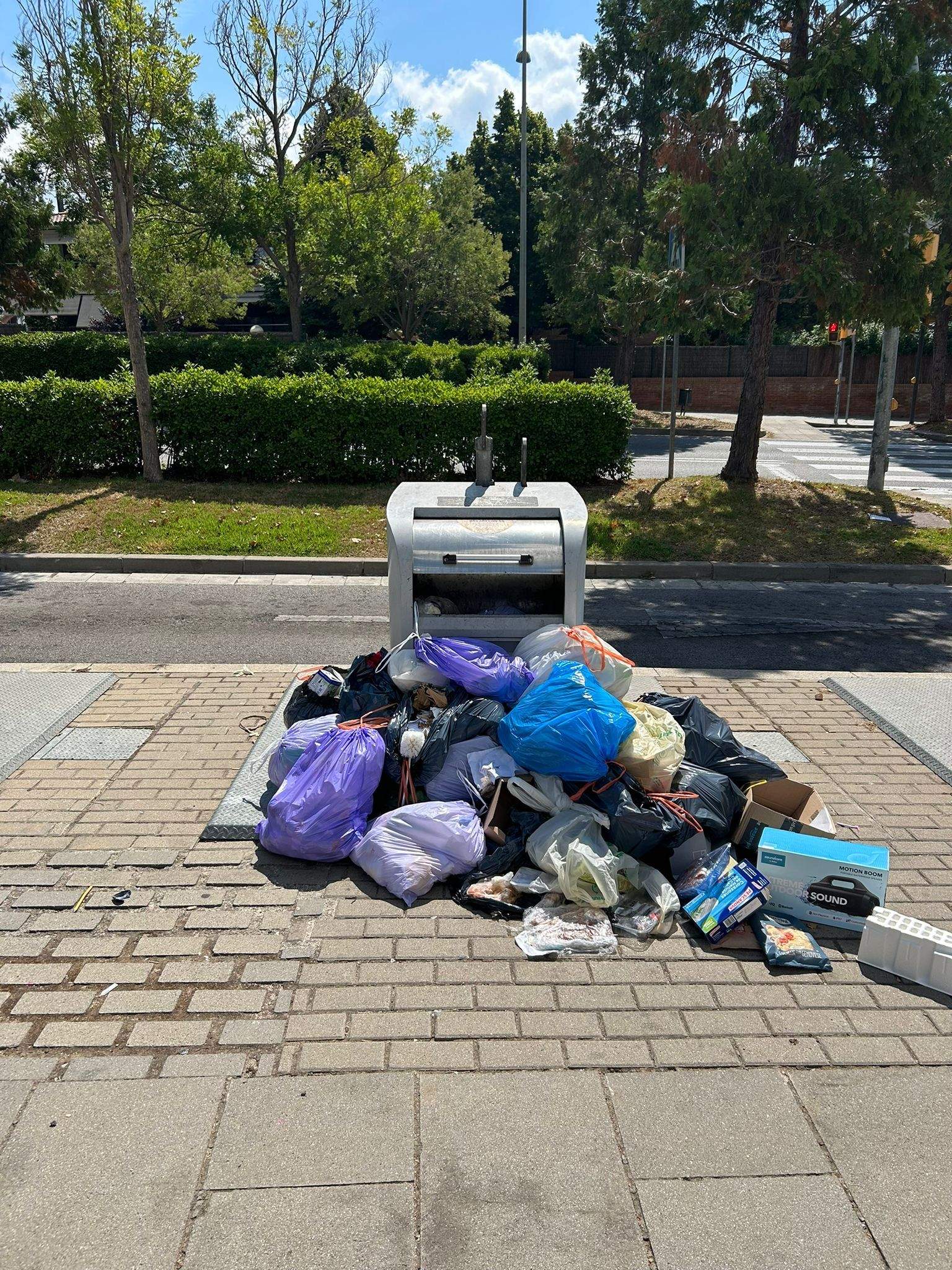 L'estat dels contenidors de Can Mates. FOTO: Ovidi Lasheras