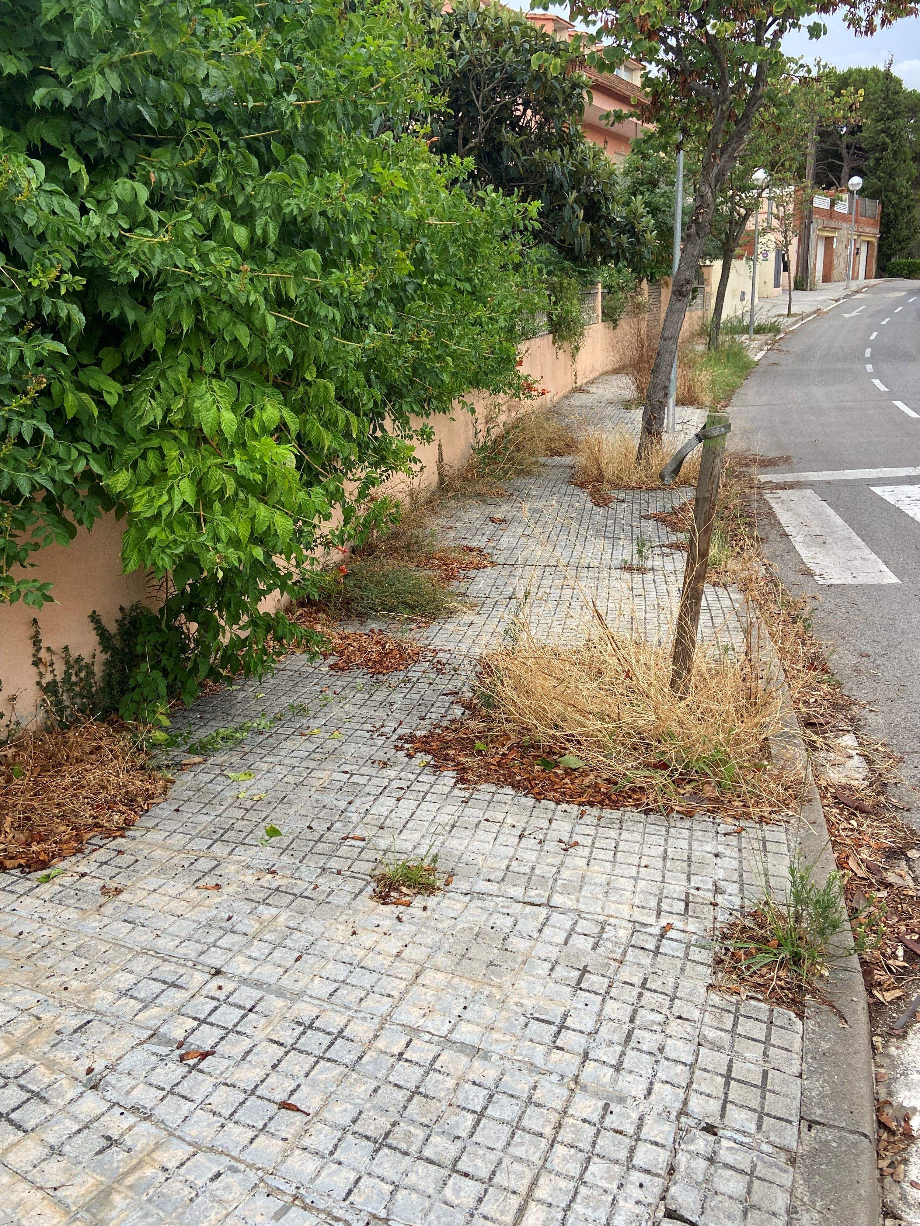 Voreres de la Floresta. FOTO: Eva López