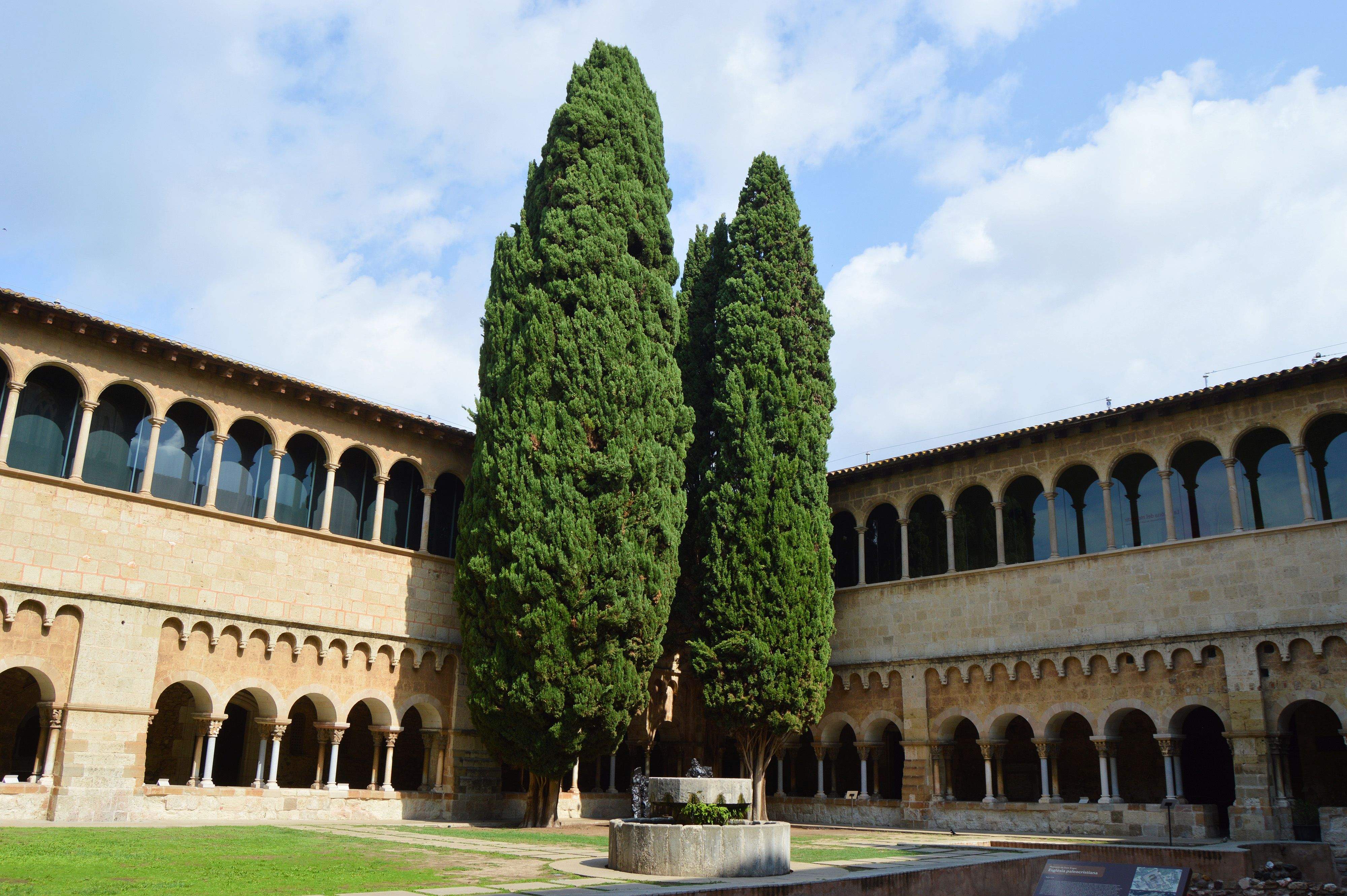 Xiprers claustre monestir