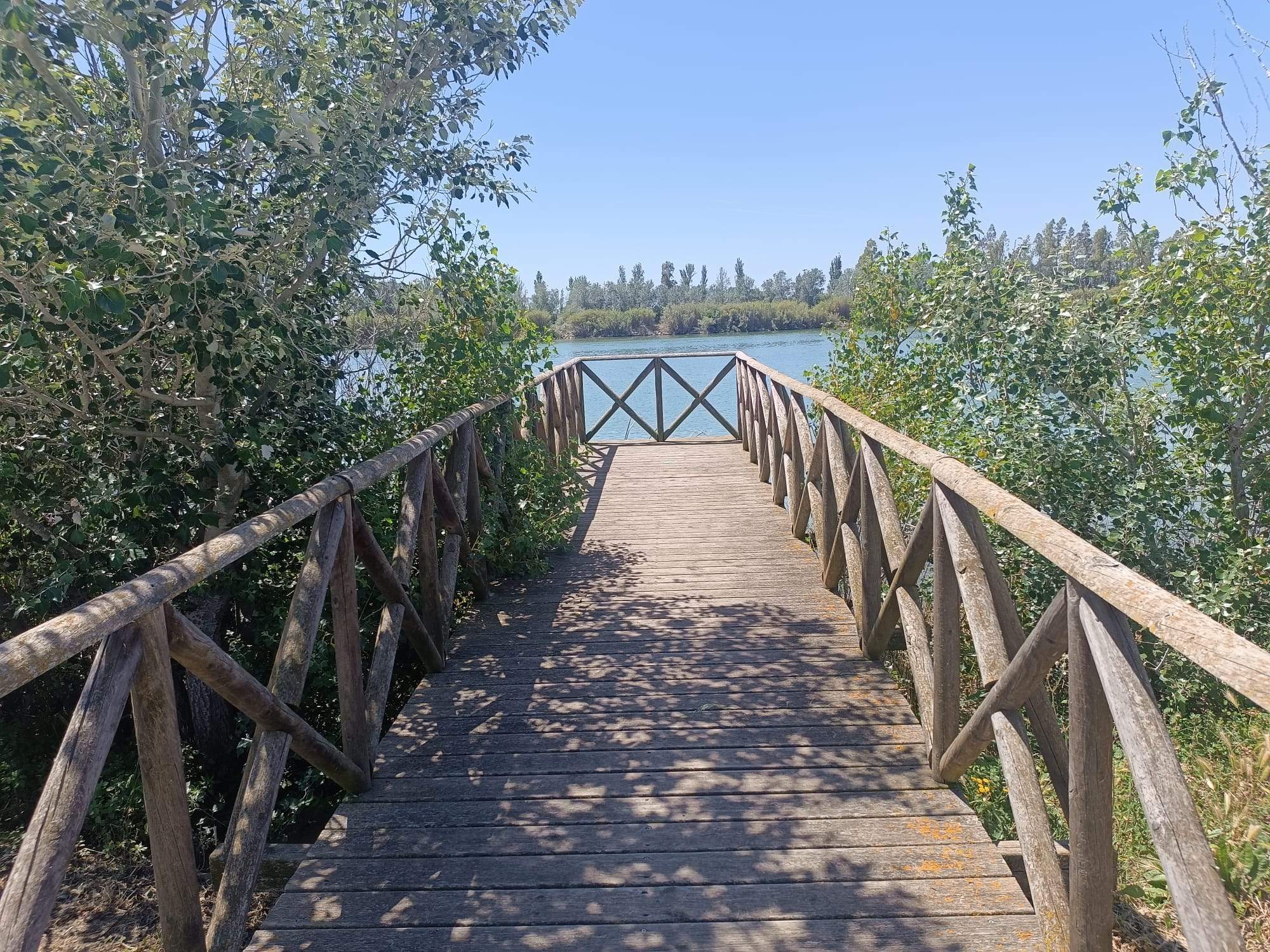 Contemplant l'Ebre · Delta de l'Ebre FOTO: Amelia  Castellanos Fernandez