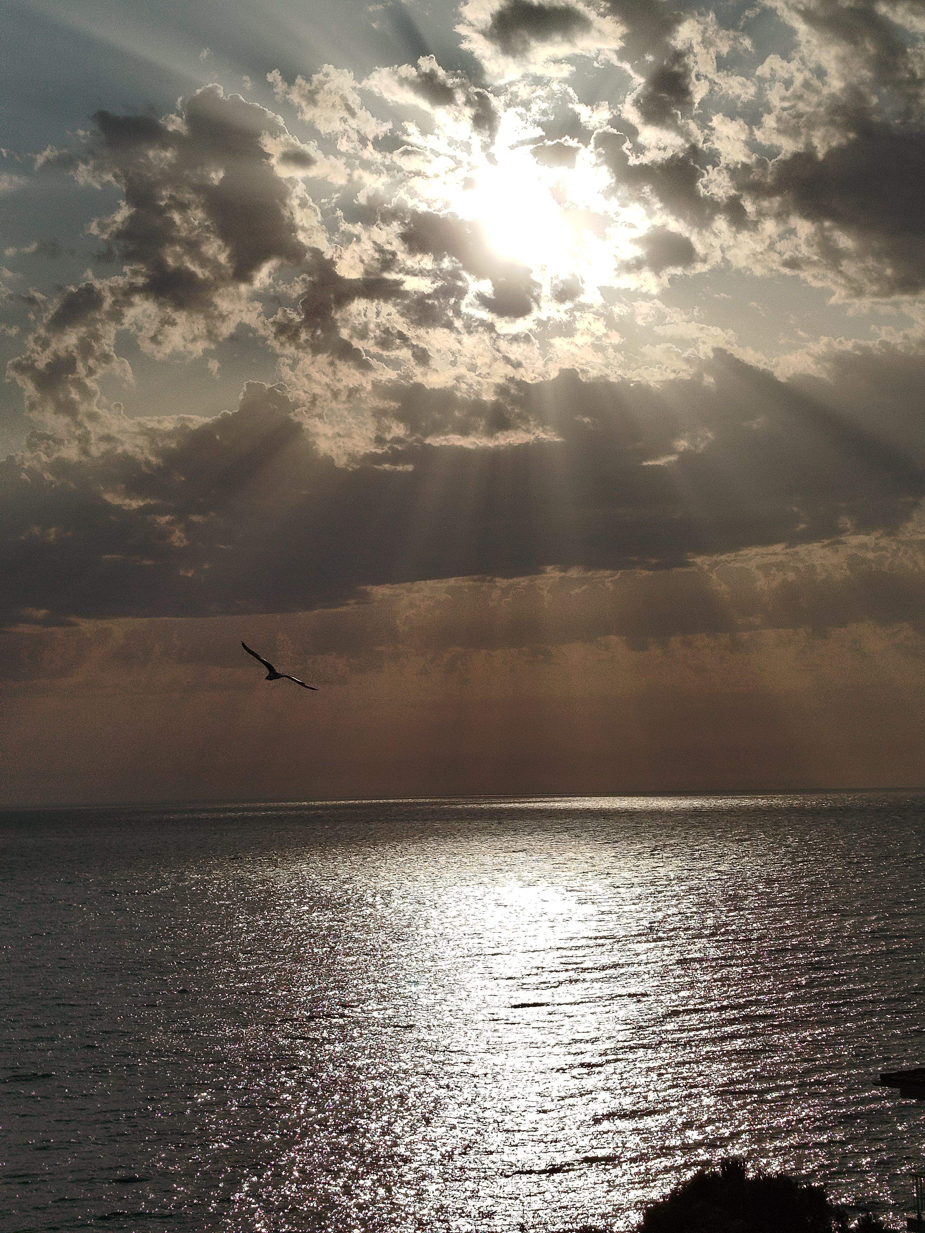 Despertars · Cau del Llop. Llançà. FOTO: Laura Lienas Massot