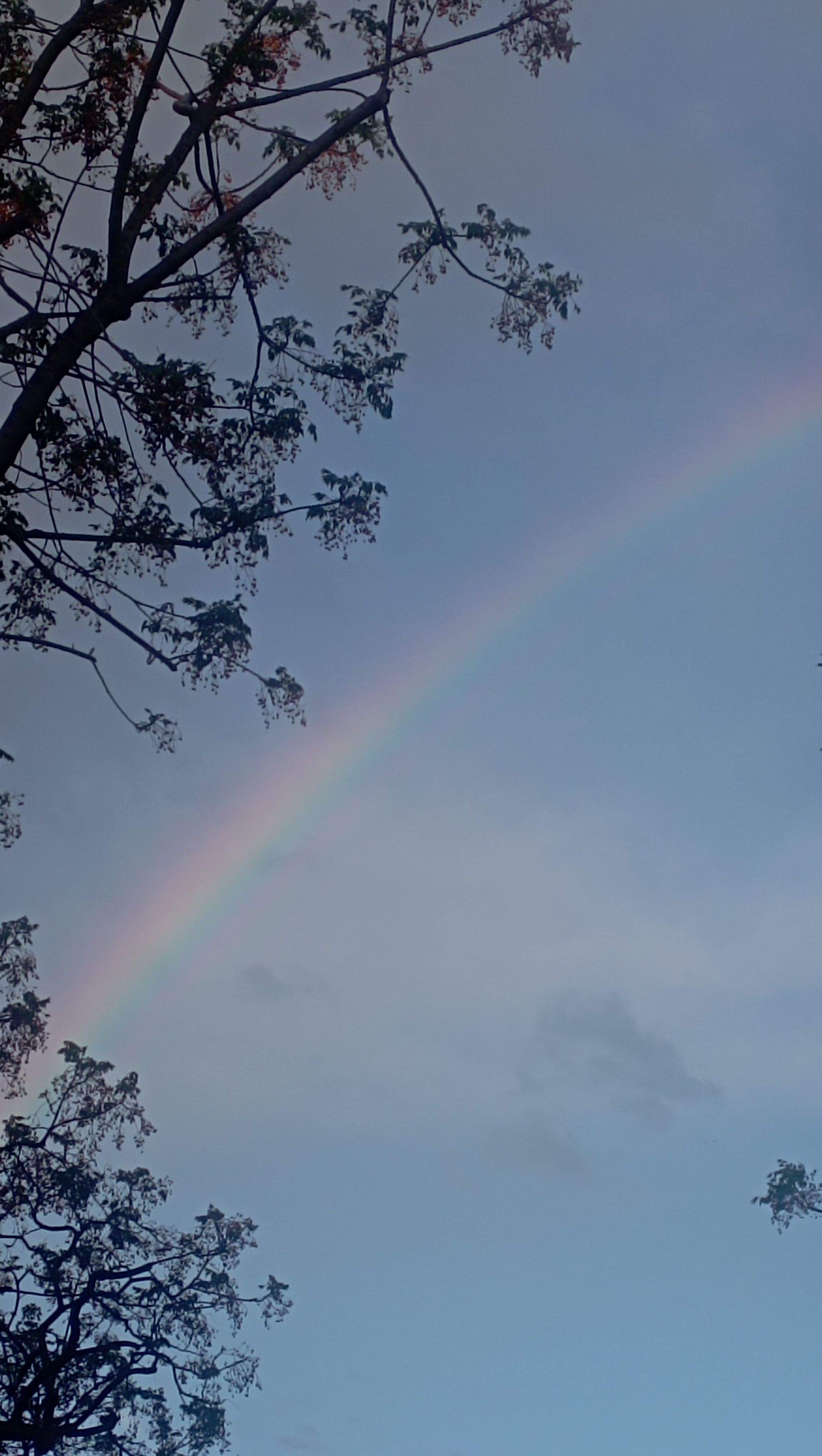 Naturalessa, arcoiris · Sabadell FOTO: Elisabet  Garnes Carramiñana 