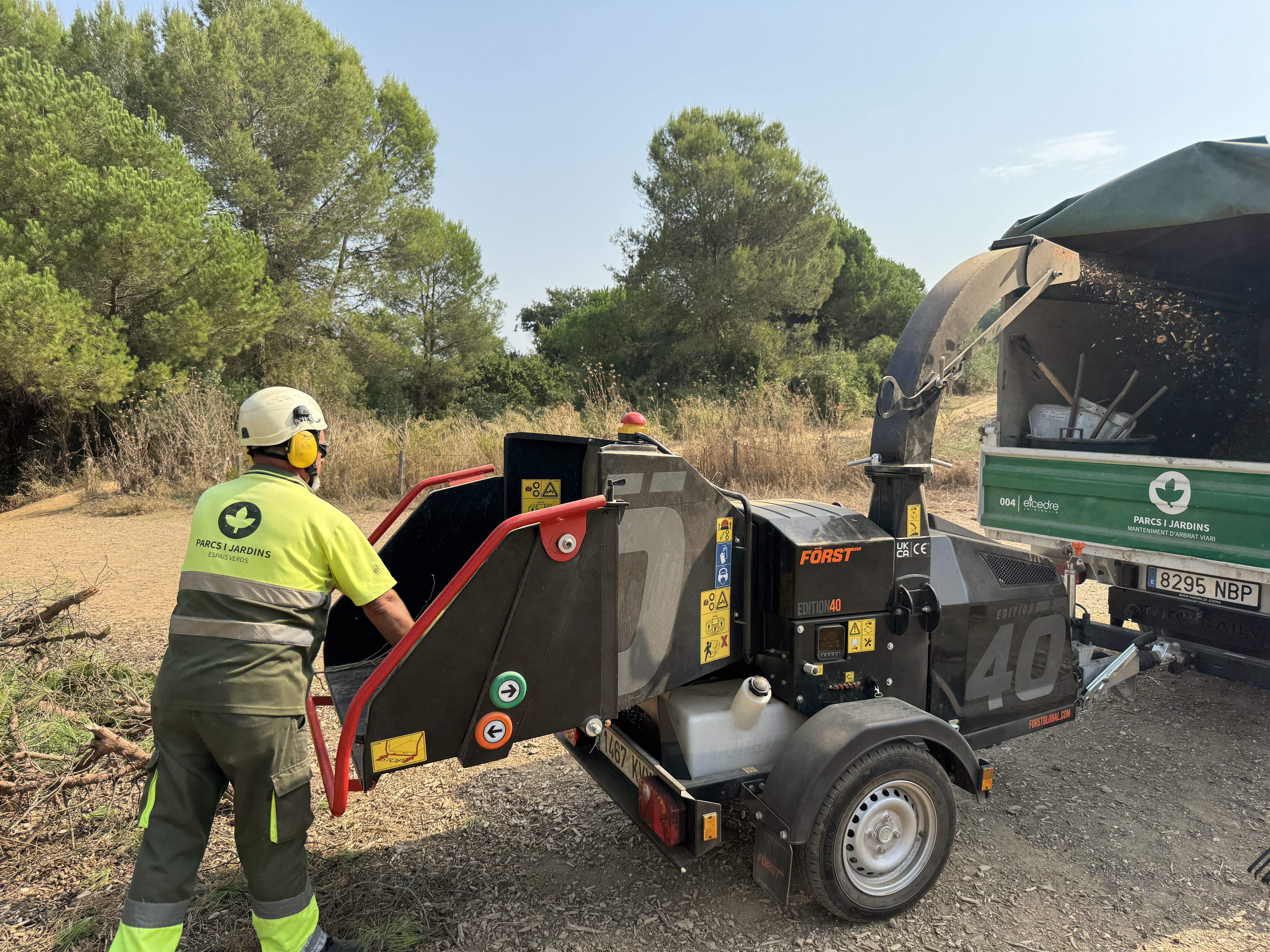 El Pi d'en Xandri perd la seva emblemàtica branca FOTO: TOT Sant Cugat
