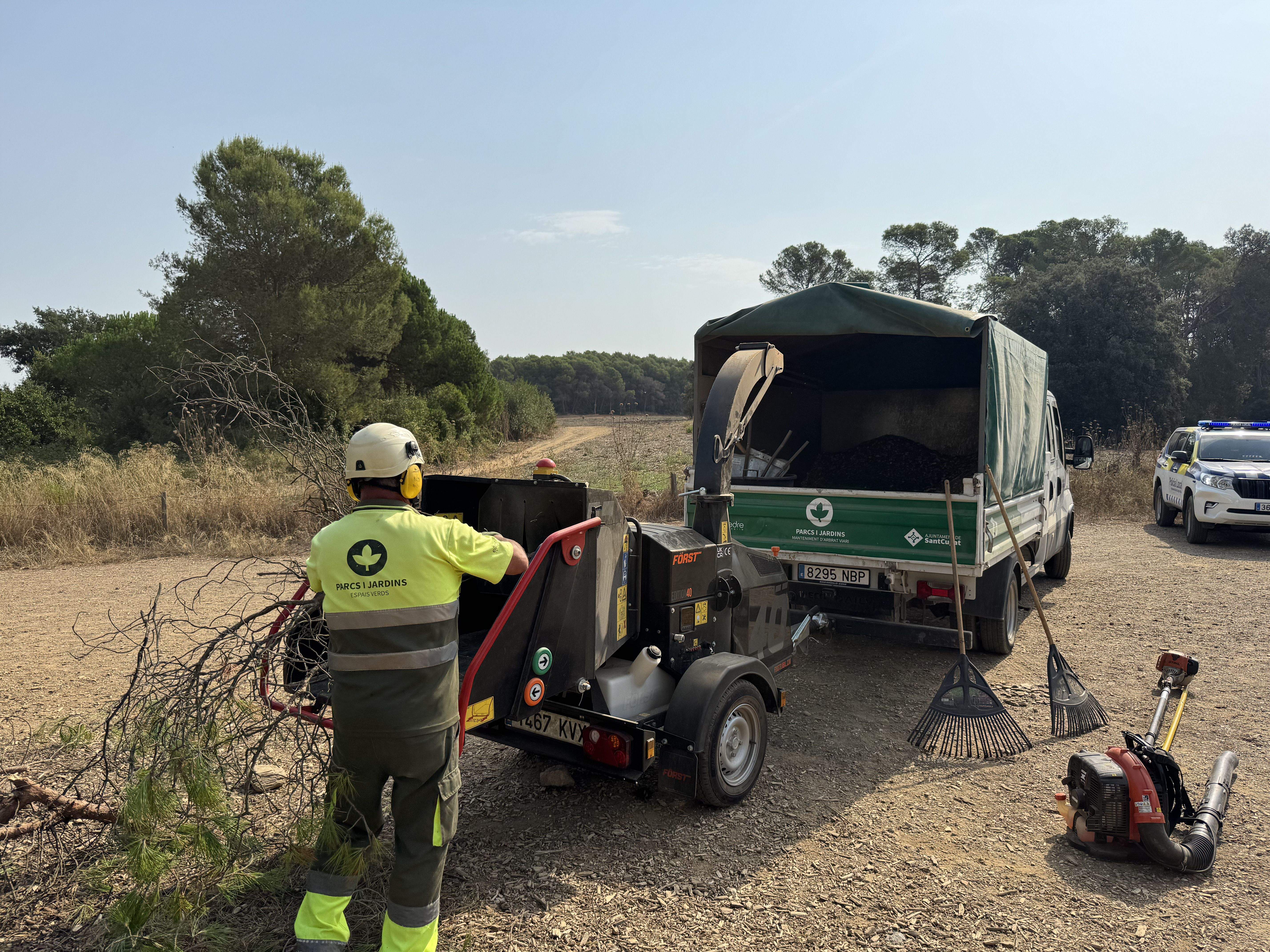 El Pi d'en Xandri perd la seva emblemàtica branca FOTO: TOT Sant Cugat