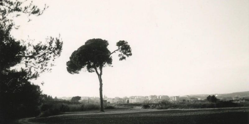 antiga pi d en xandri 38 800x400 1