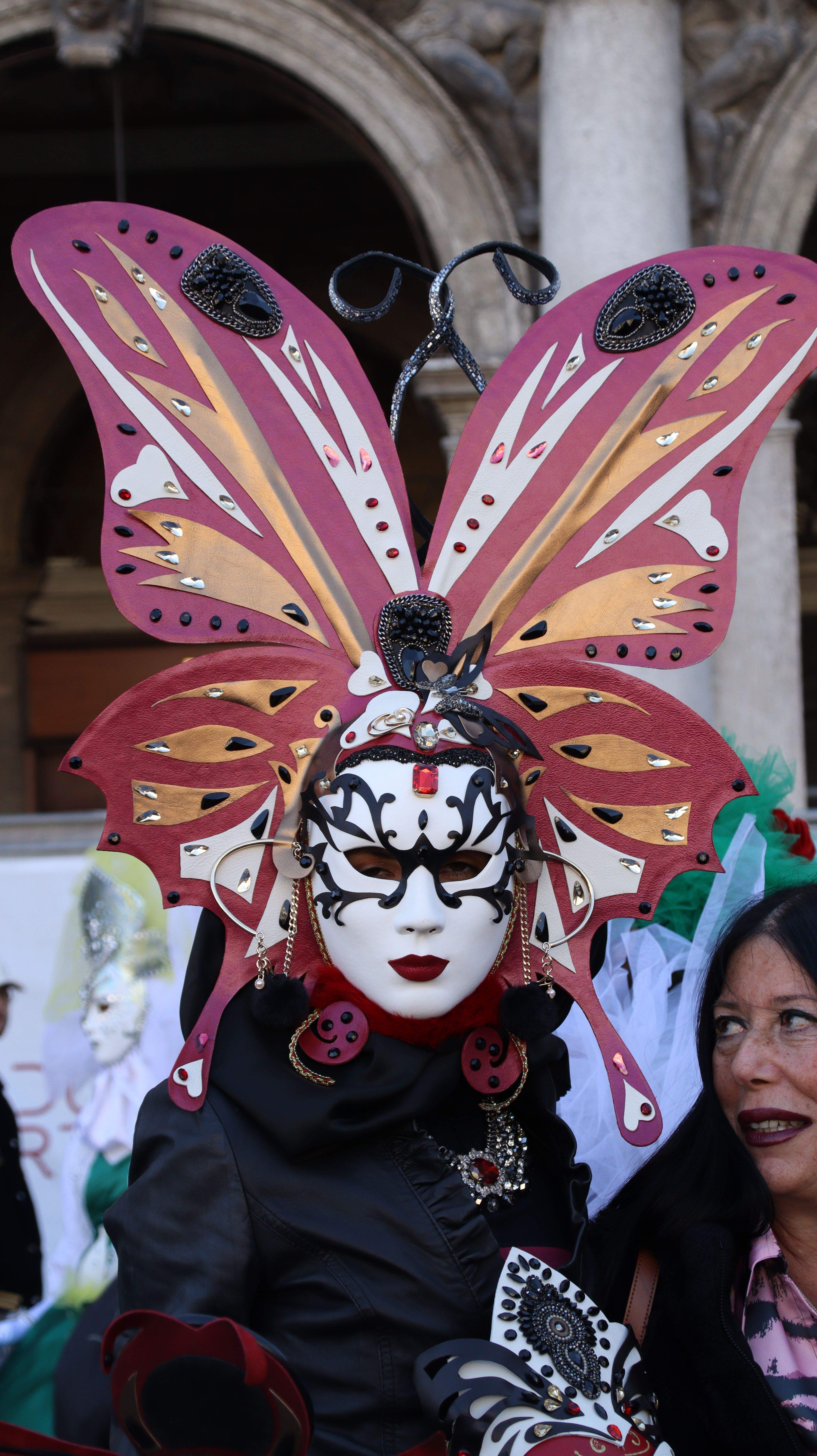 L'efecte papallona del Carnaval - Venècia FOTO: Francesc Castro Cadena