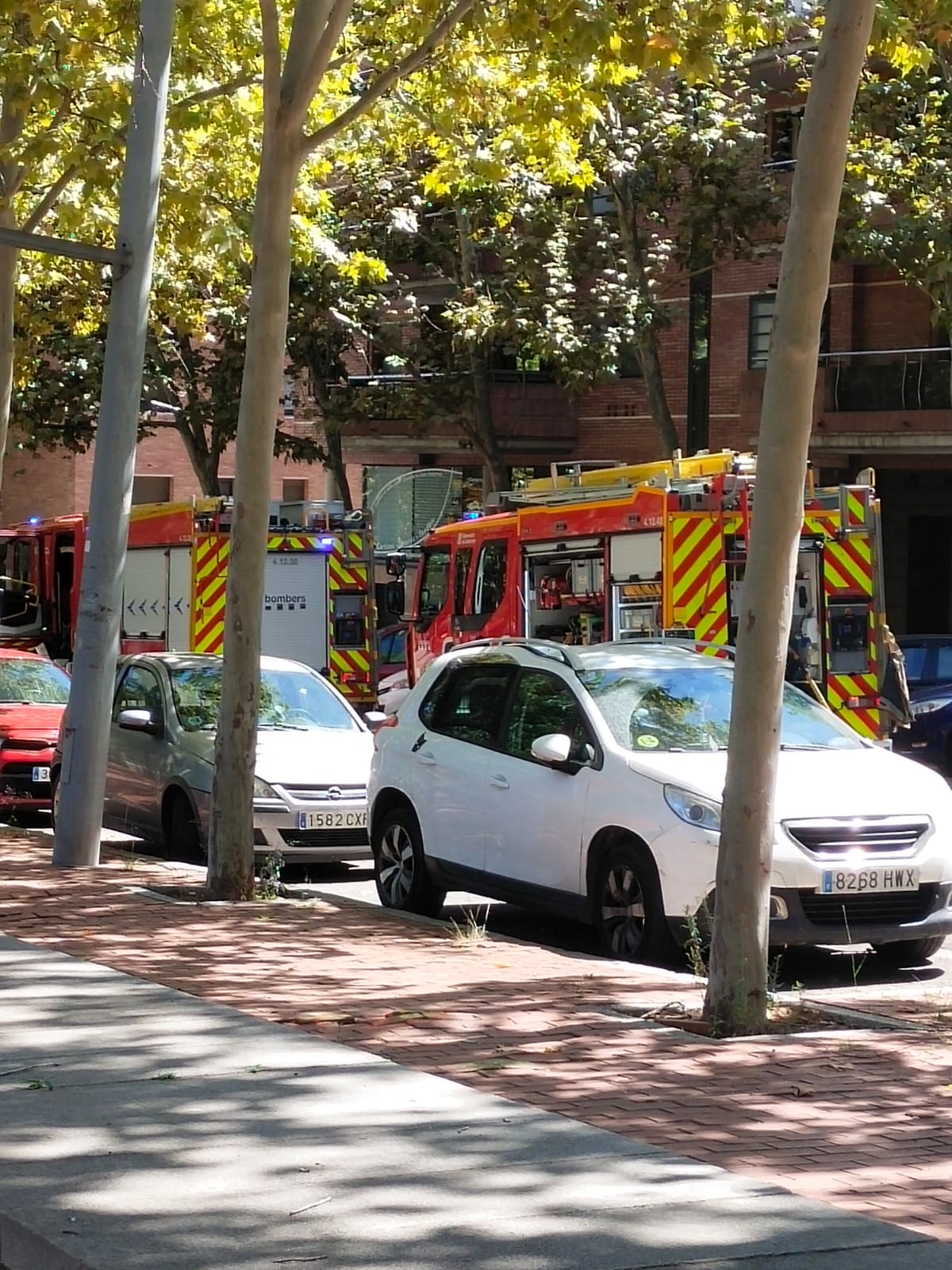 Els Bombers han acudit al lloc de l'incendi. FOTO: Cedida