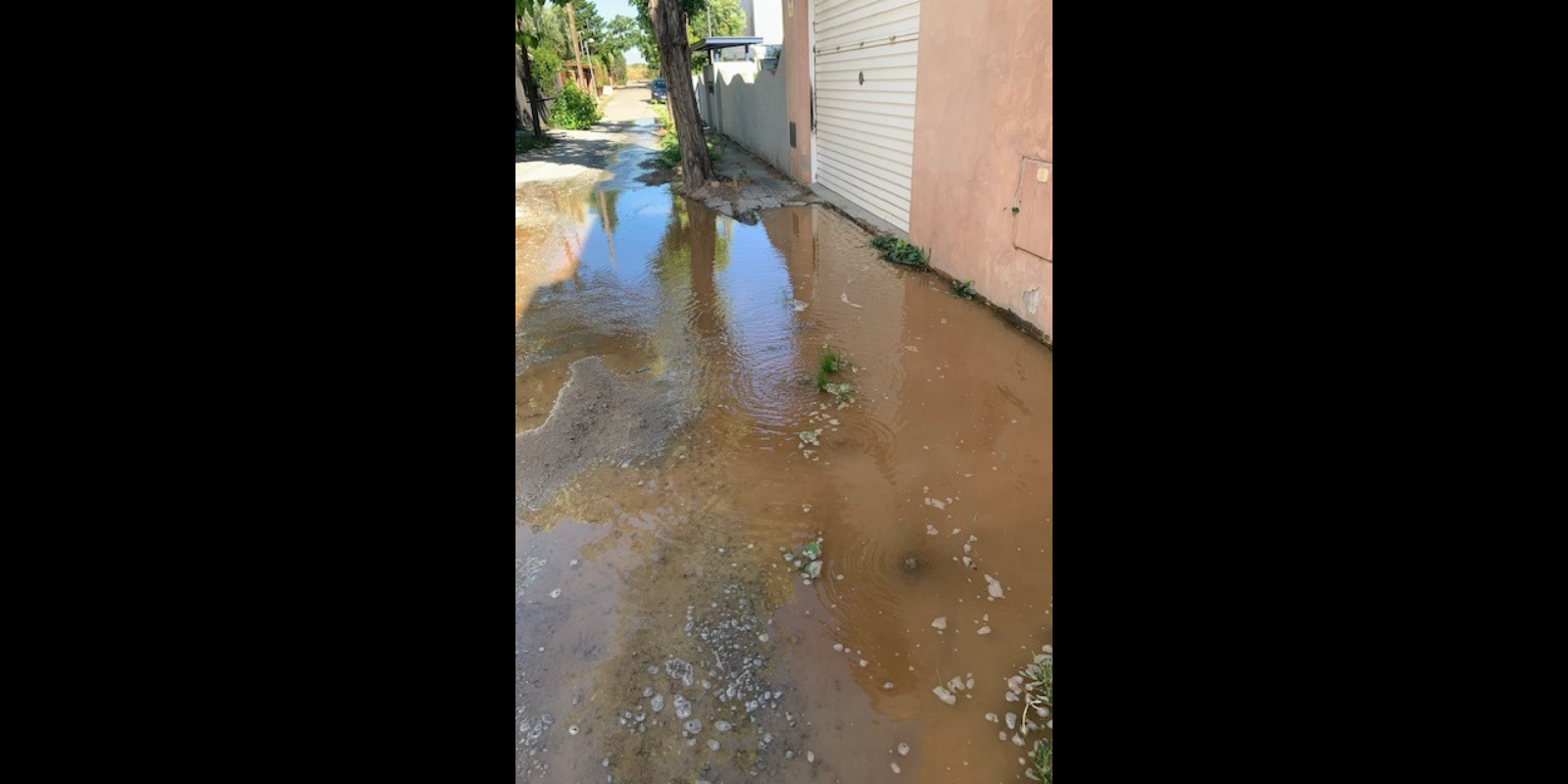 Mal estat del carrer. FOTO: Anna Marginet