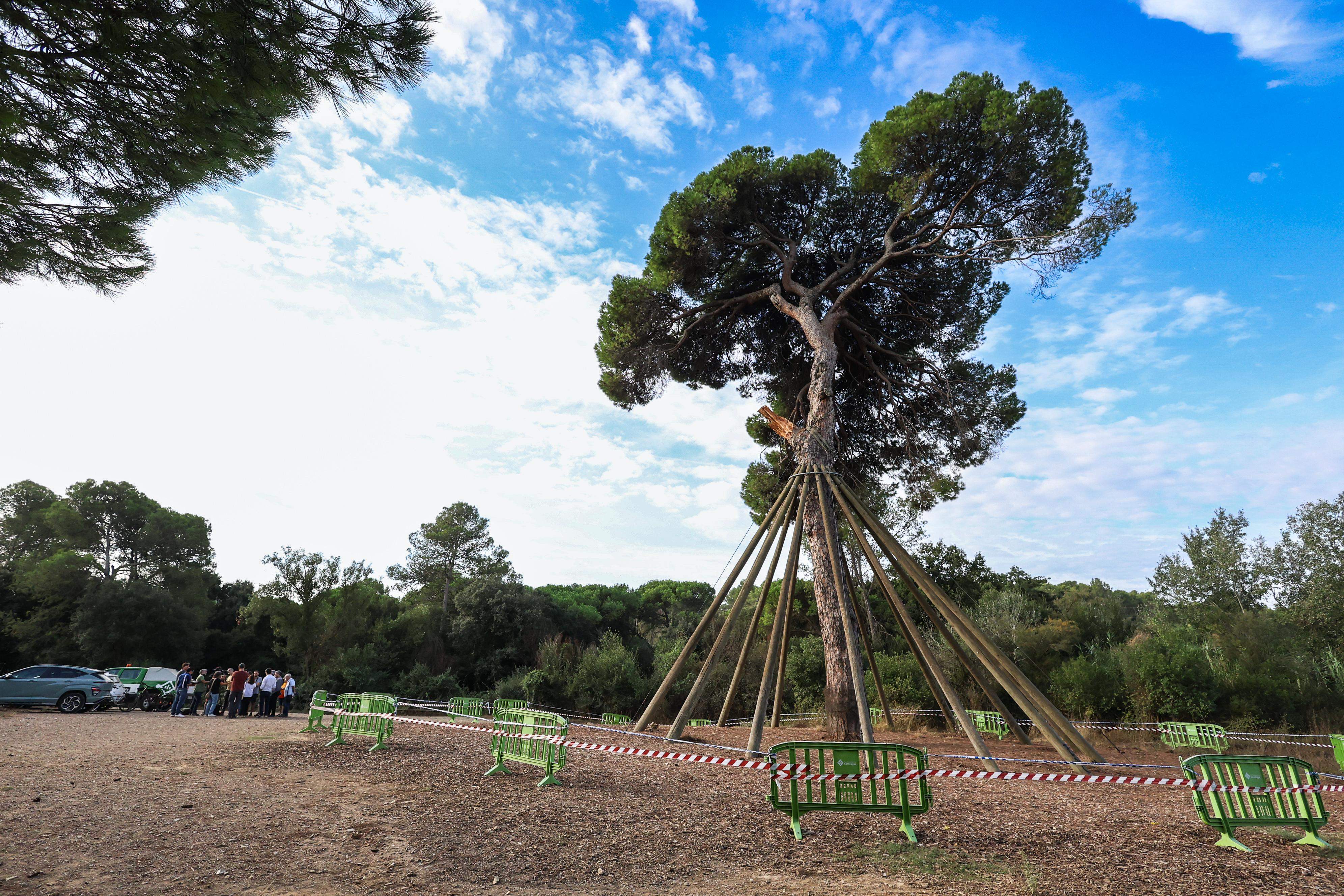 e90f755c 3728 45dd beea 180d5ccaffe1