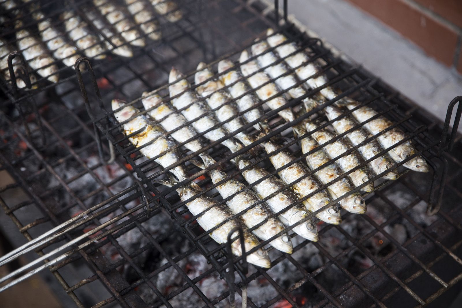 Sardinada i botifarrada a la Colònia Montserrat. FOTO: Bernat Millet.