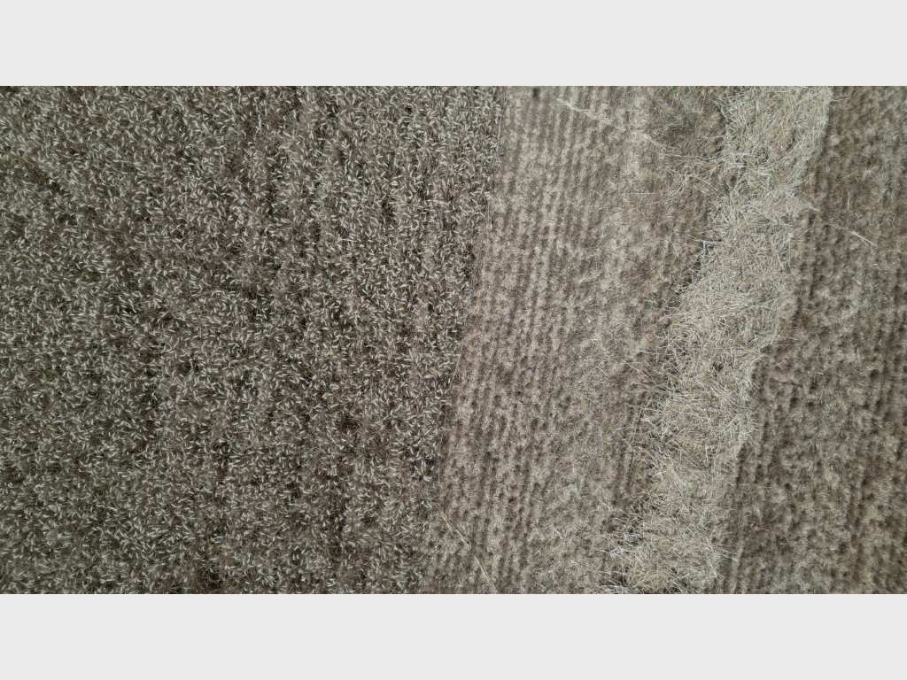 camp de pagesos de ciutat joana capella foto coche ortega