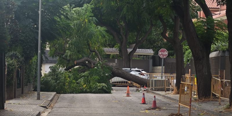 WhatsApp Image 2025 09 14 at 18.04.47