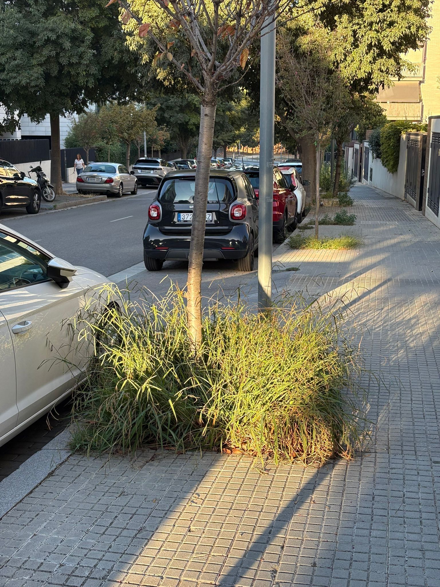 Deixadesa general dels serveis de manteniment a Vollpelleres. FOTO: Quim Juncosa