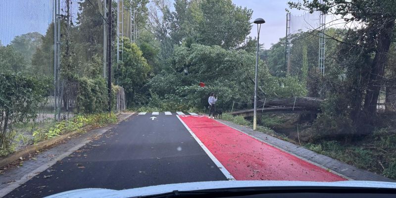 6  La zona del Golf i Can Trabal també han patit caigudes aquest estiu Foto cedida
