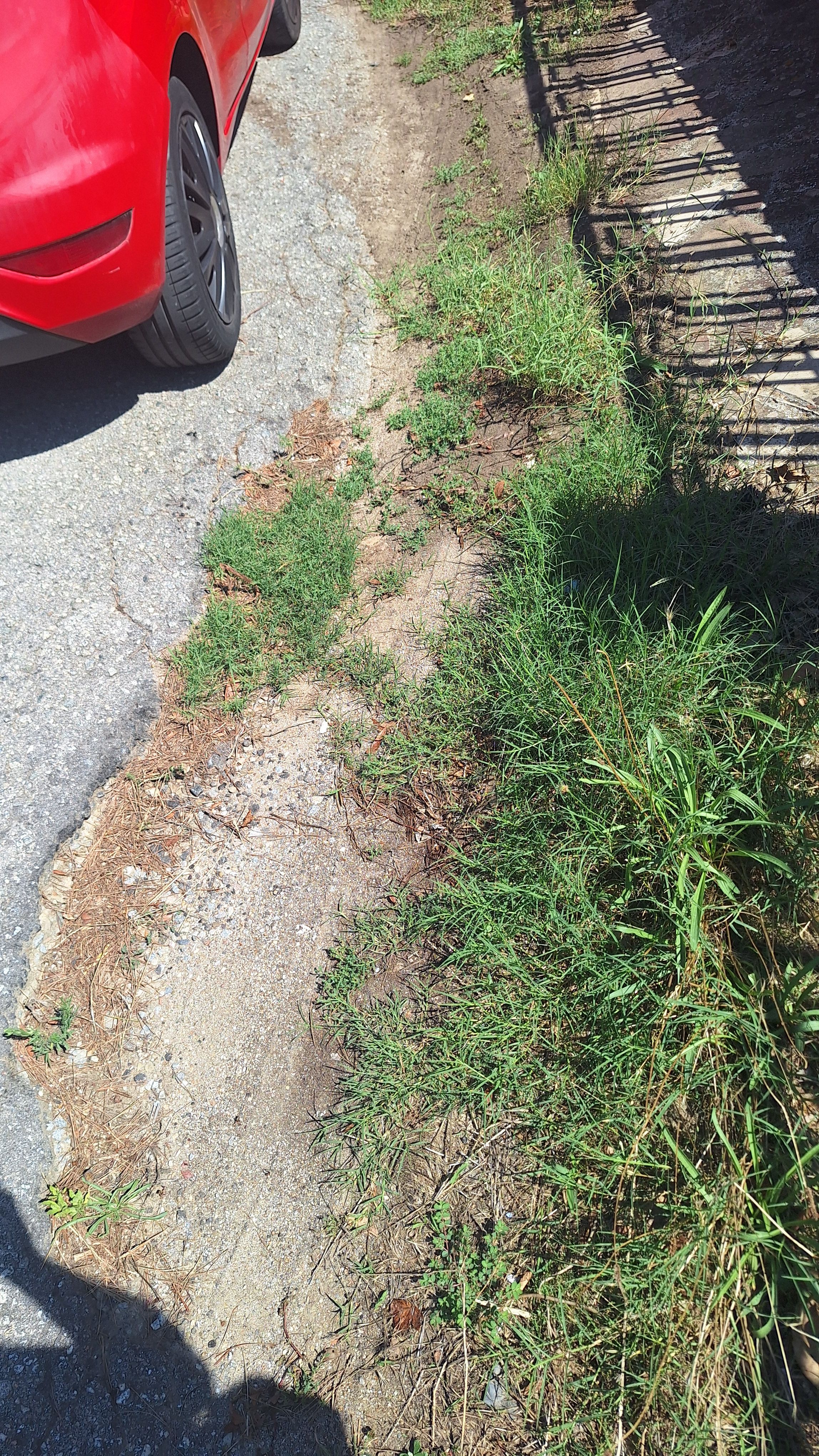 L’estat del carrer de Baladre. FOTO: Xavier Cachinero