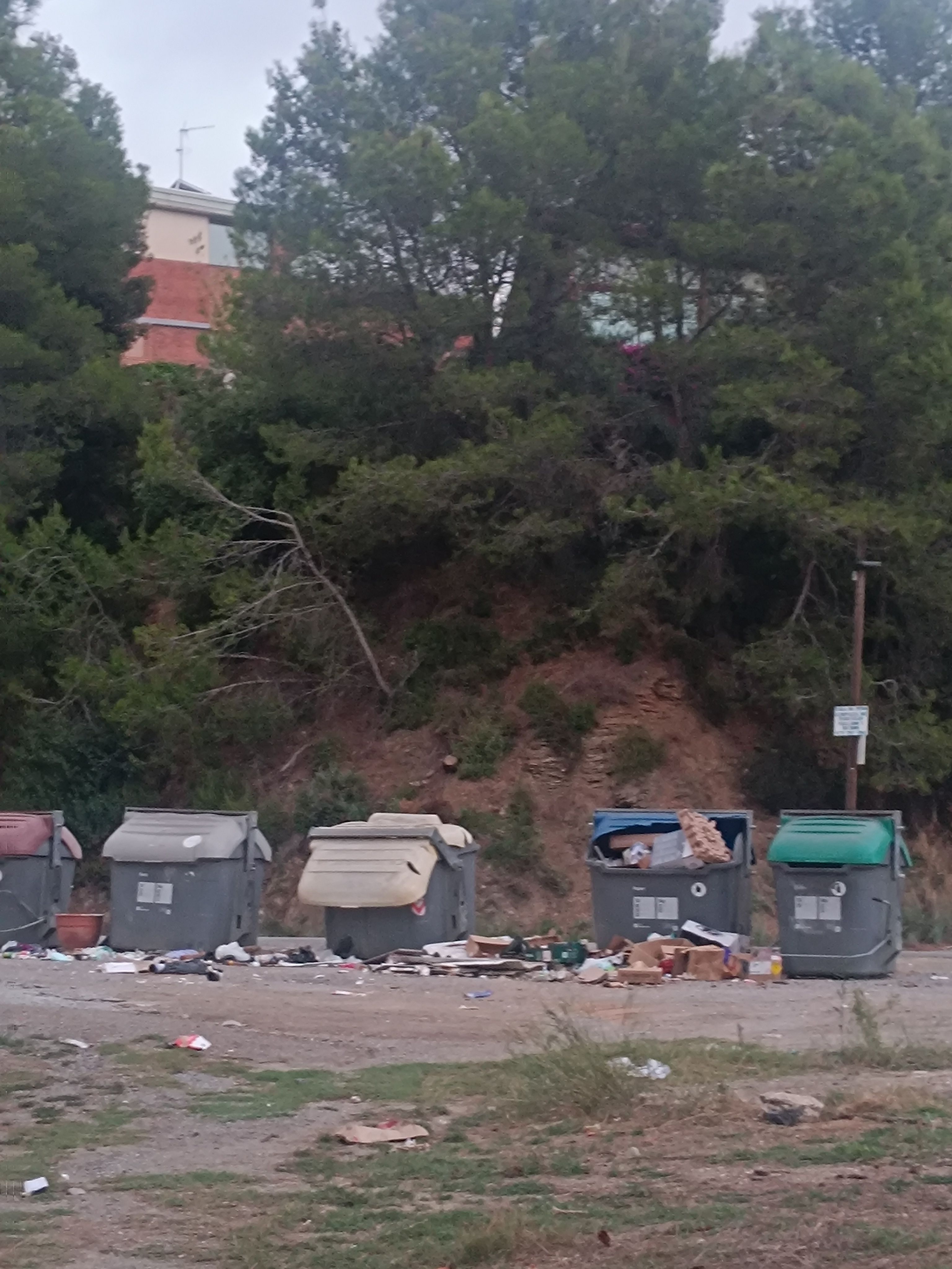 Contenidors trencats i abocador il·legal a la Floresta. FOTO: Daniel Gutiérrez