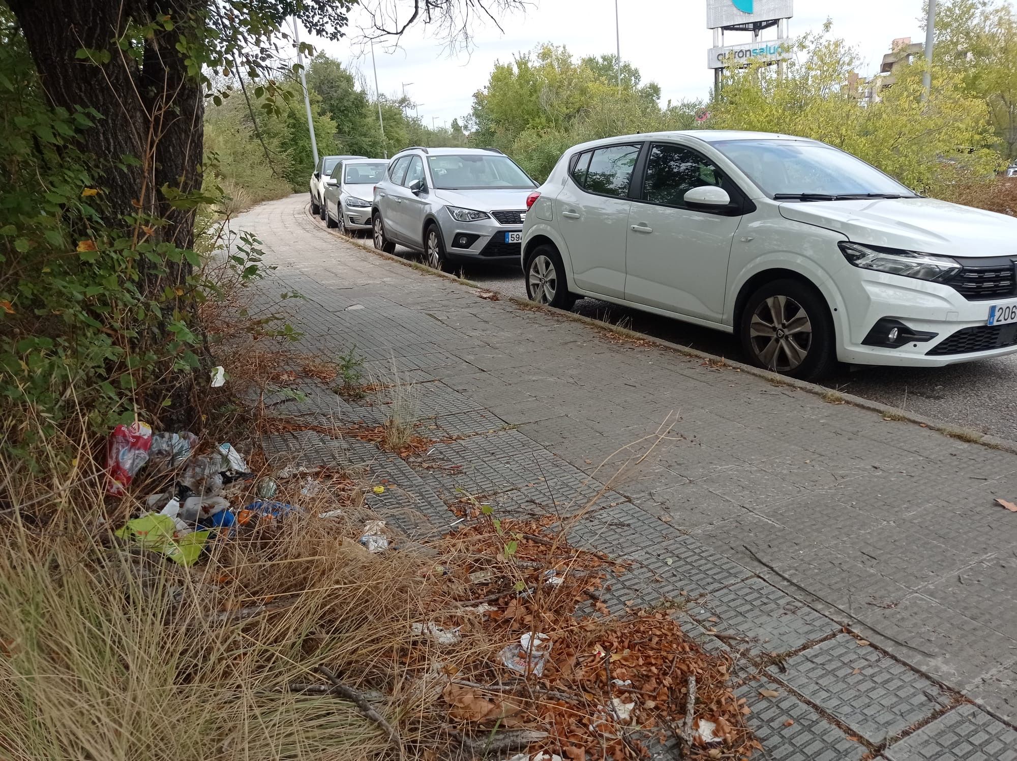Brutícia a la part oest de l'Hospital Universitari General de Catalunya. FOTO: Josep Argemí Mas