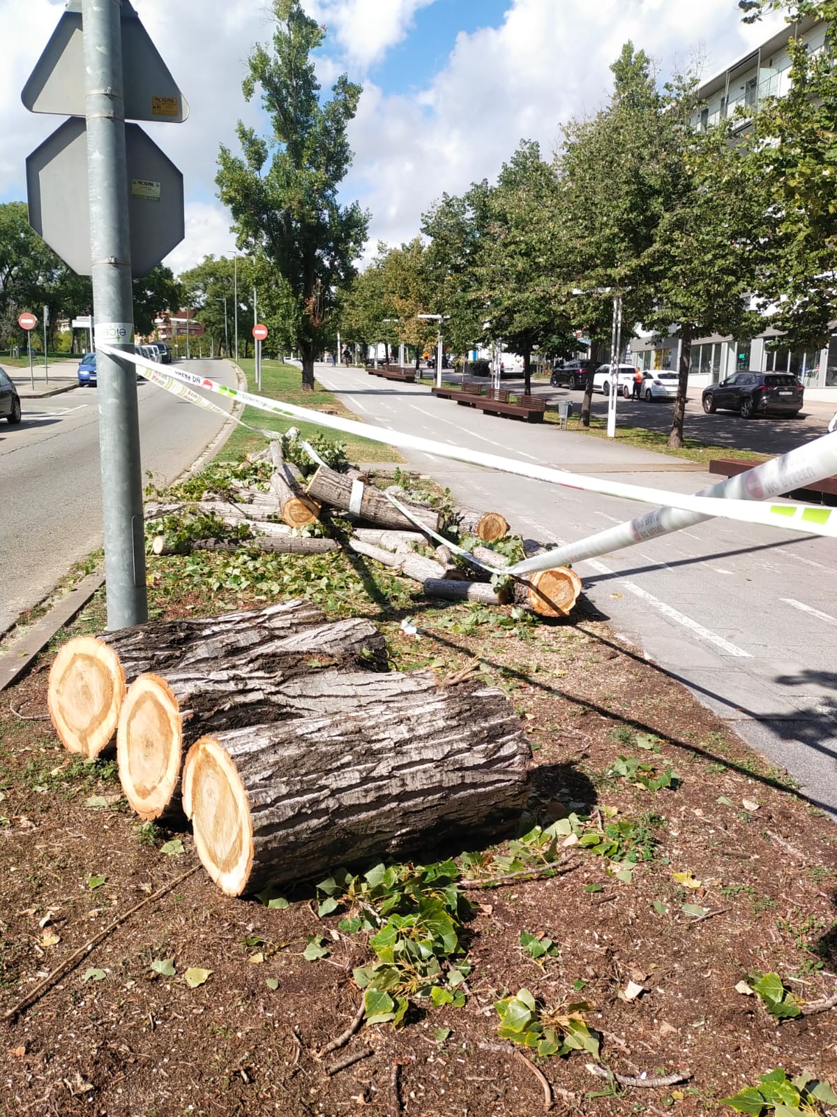 b0e99148 d332 47e6 b027 679810f31c55