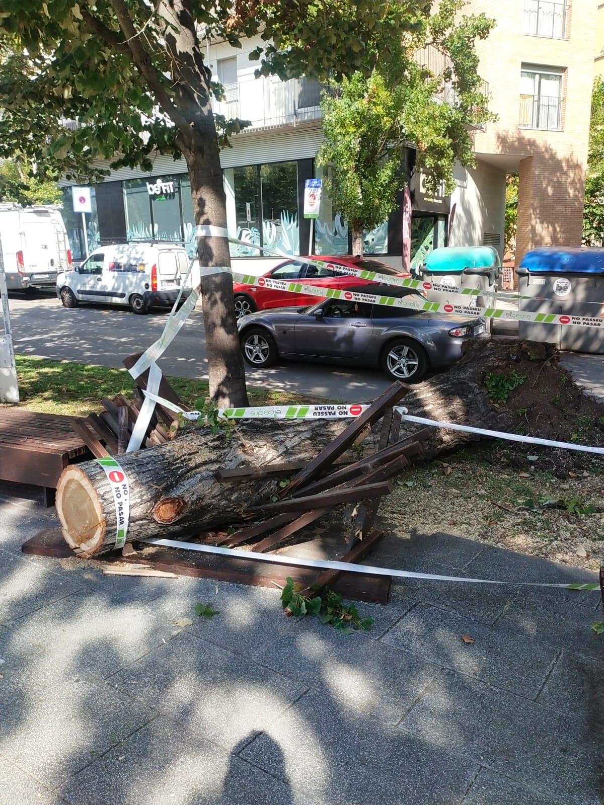 0d5b0e25 3835 40bb 82ed 06a5cea6c266