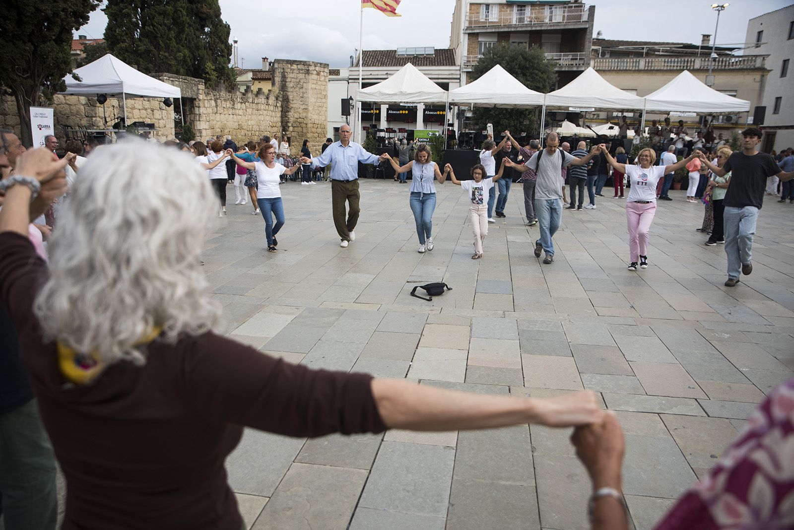 Aplec de la Sardana. FOTO: Bernat Millet.