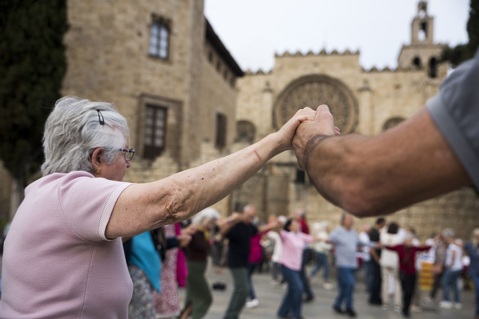 Aplec de la Sardana. FOTO: Bernat Millet.