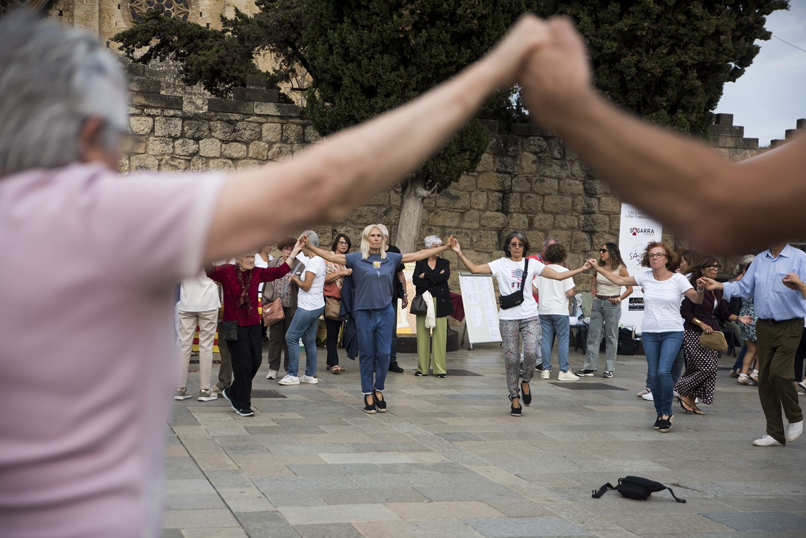 Aplec de la Sardana. FOTO: Bernat Millet.