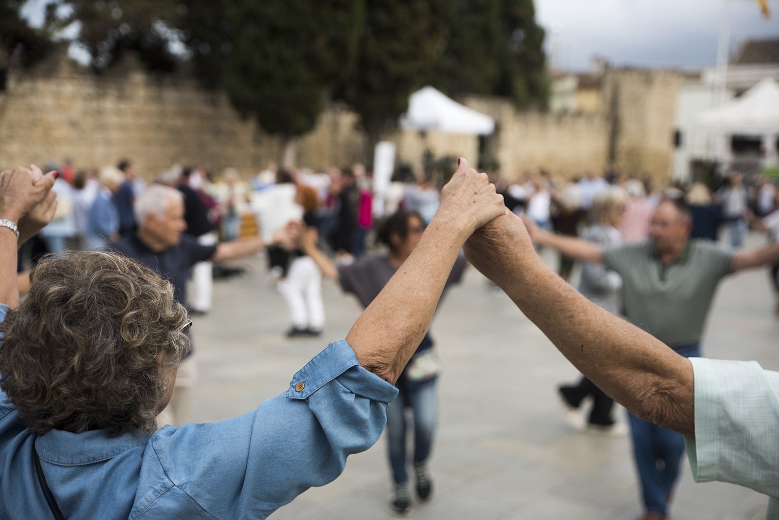 Aplec de la Sardana. FOTO: Bernat Millet.