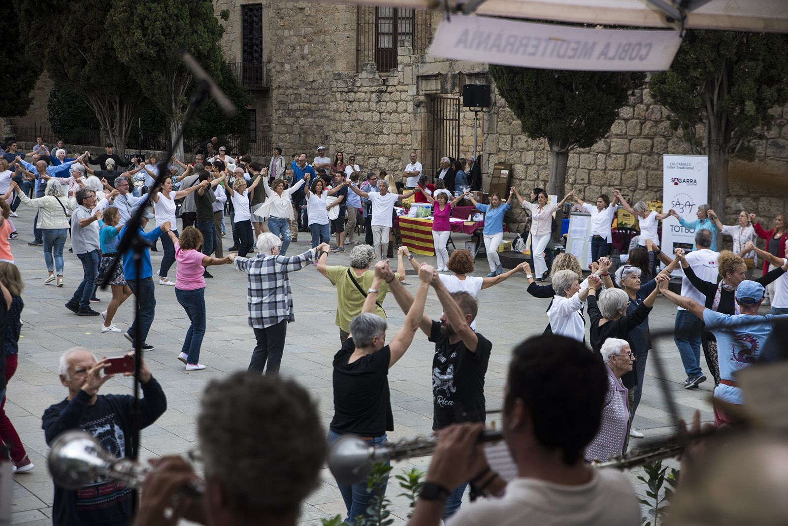 Aplec de la Sardana. FOTO: Bernat Millet.