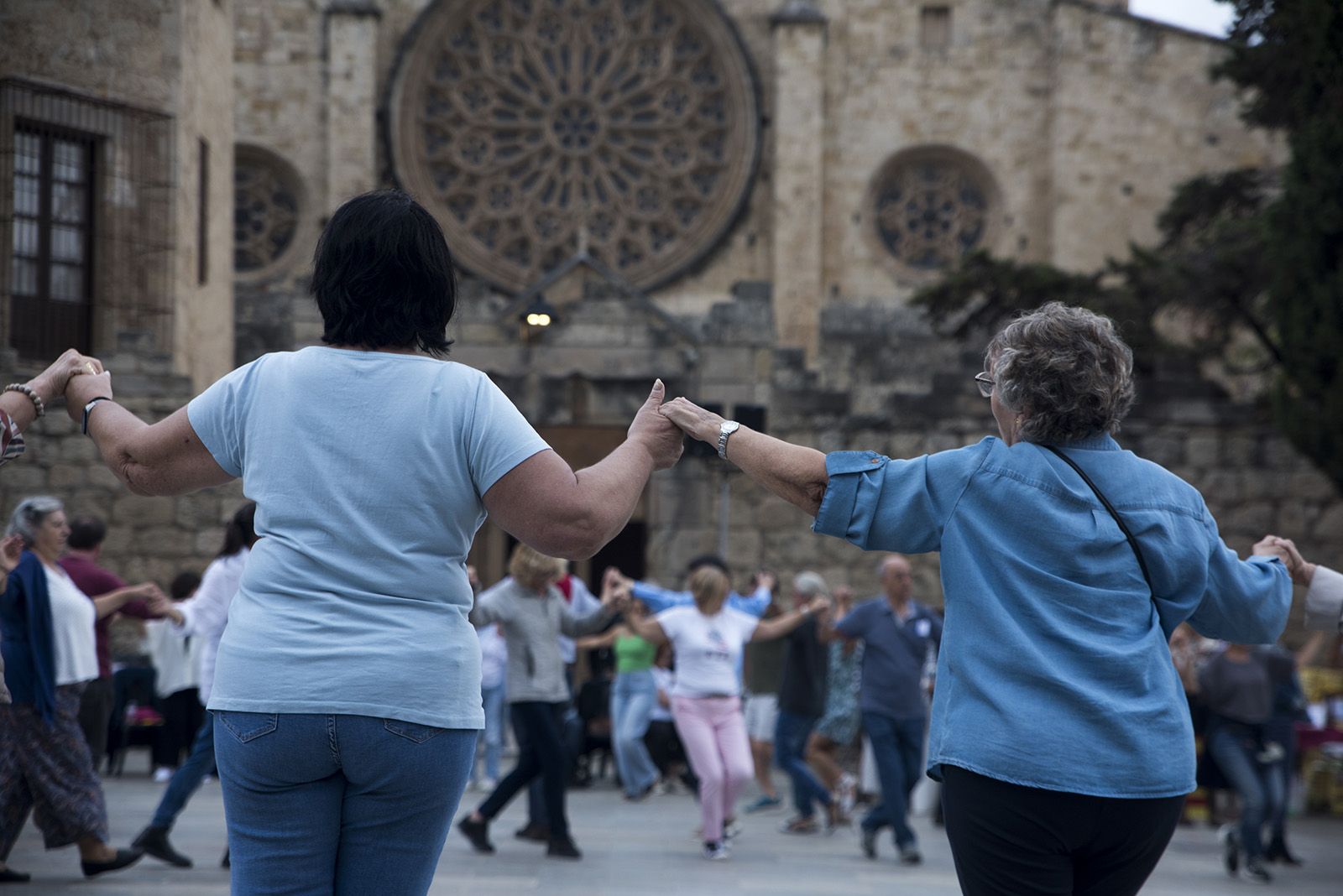 Aplec de la Sardana. FOTO: Bernat Millet.