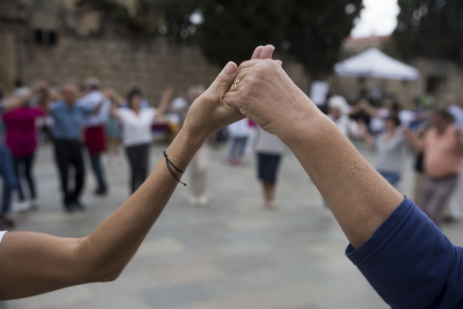 Aplec de la Sardana. FOTO: Bernat Millet.