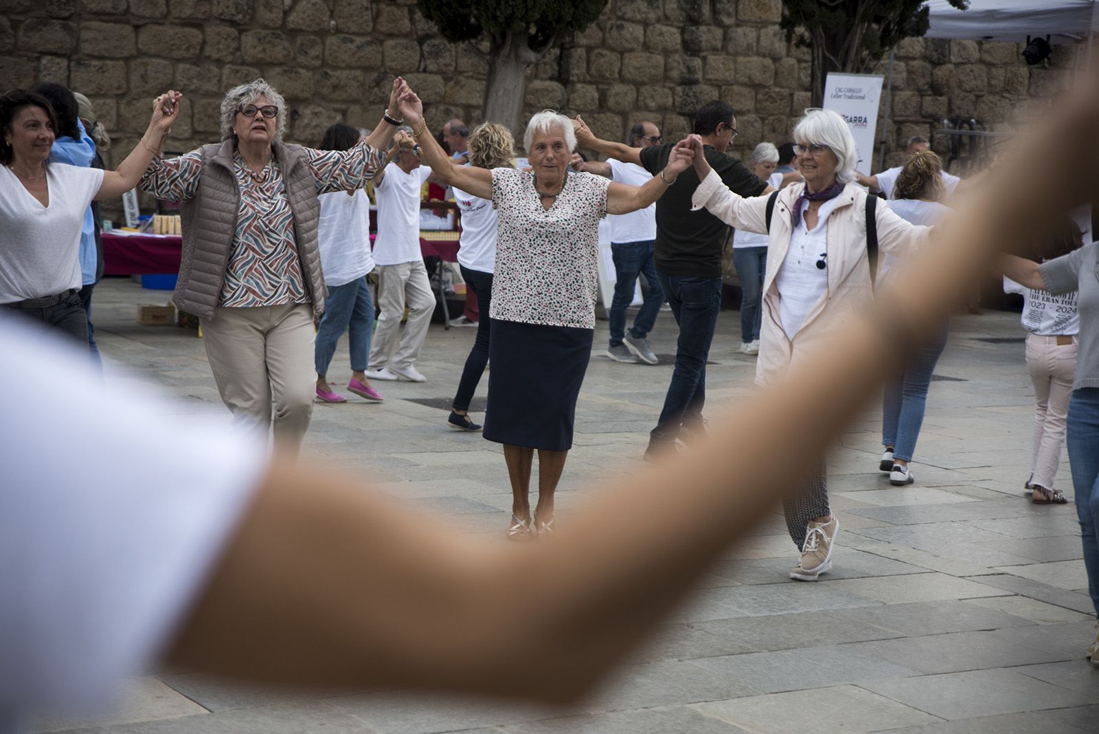 Aplec de la Sardana. FOTO: Bernat Millet.