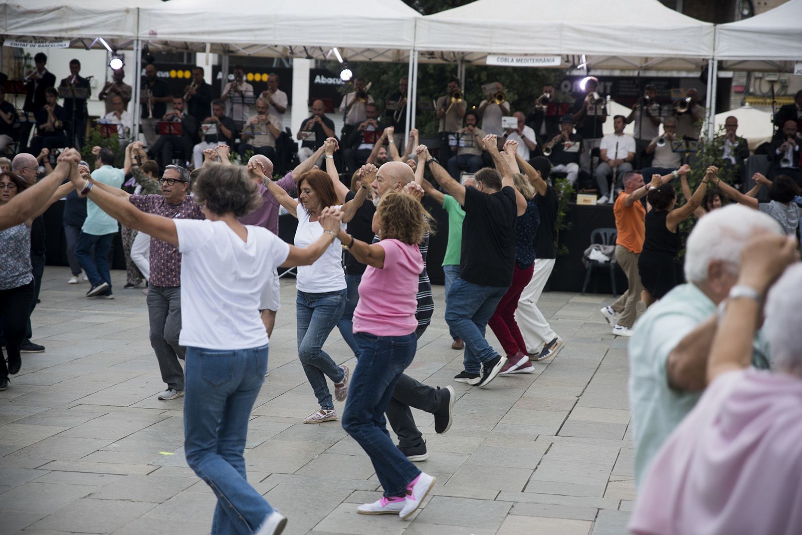 Aplec de la Sardana. FOTO: Bernat Millet.