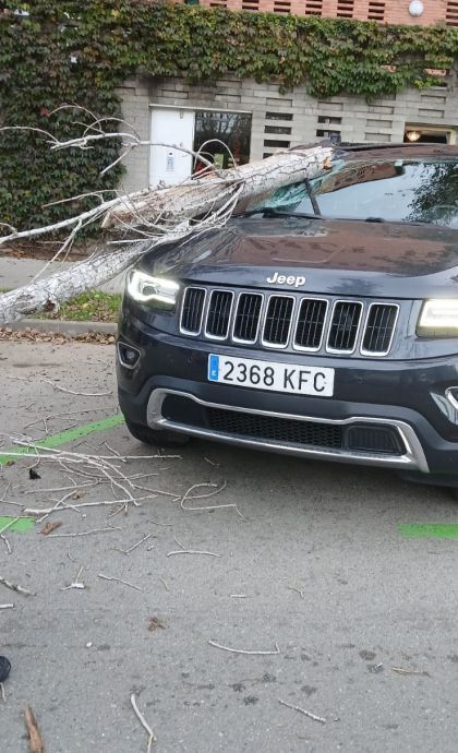 Un arbre cau a sobre un cotxe al carrer de Puig i Cadafalch al 2024 FOTO: TOT Sant Cugat