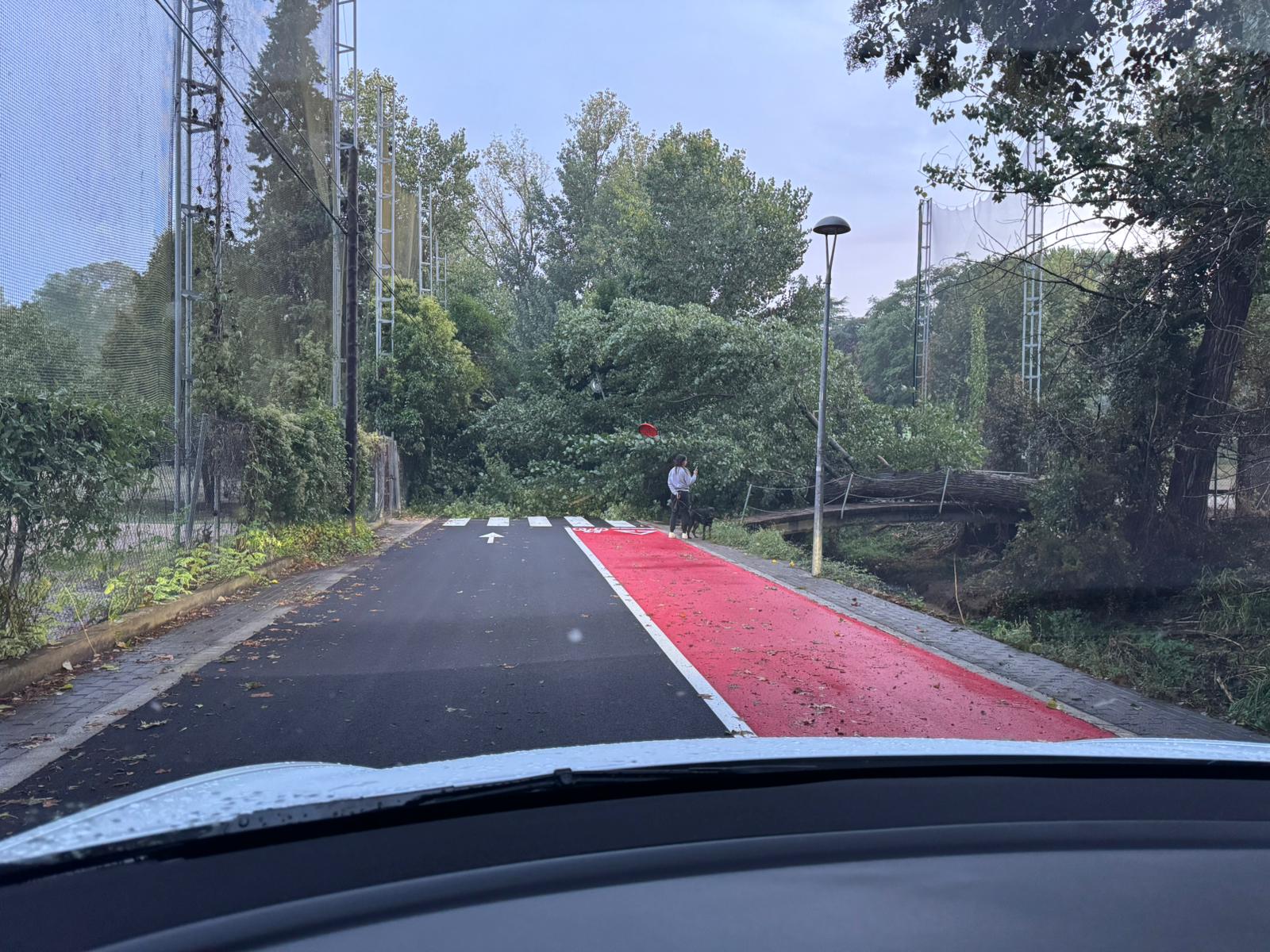  La zona del Golf i Can Trabal també han patit caigudes aquest estiu Foto cedida