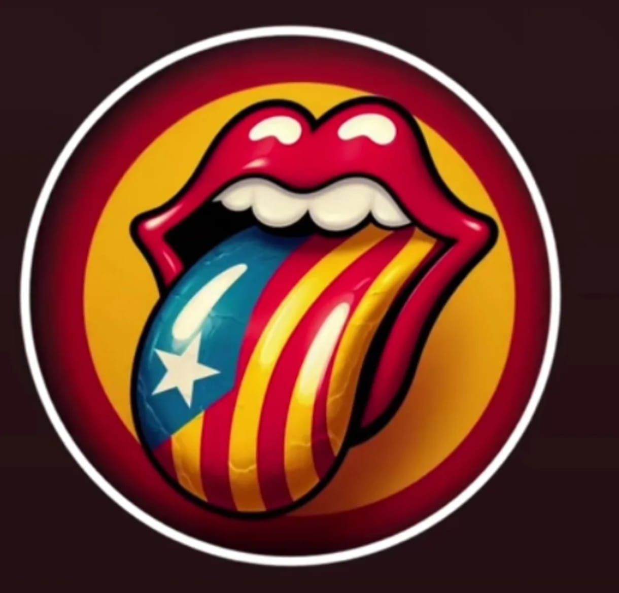 Independència i llengua. FOTO: ANC