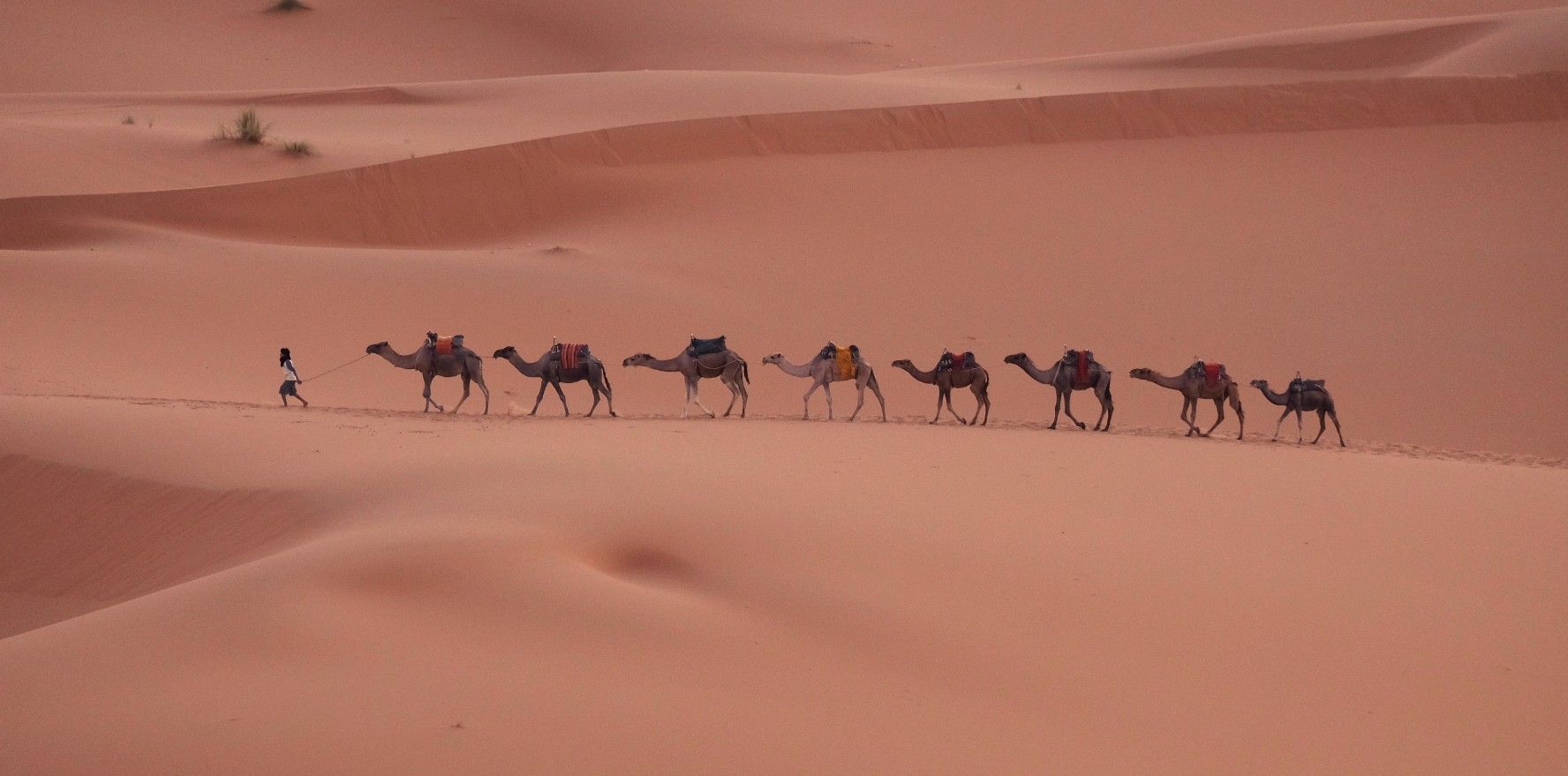A ritme del desert - Merzouga (la Gran Duna) FOTO: Mercè Margalef Vergés