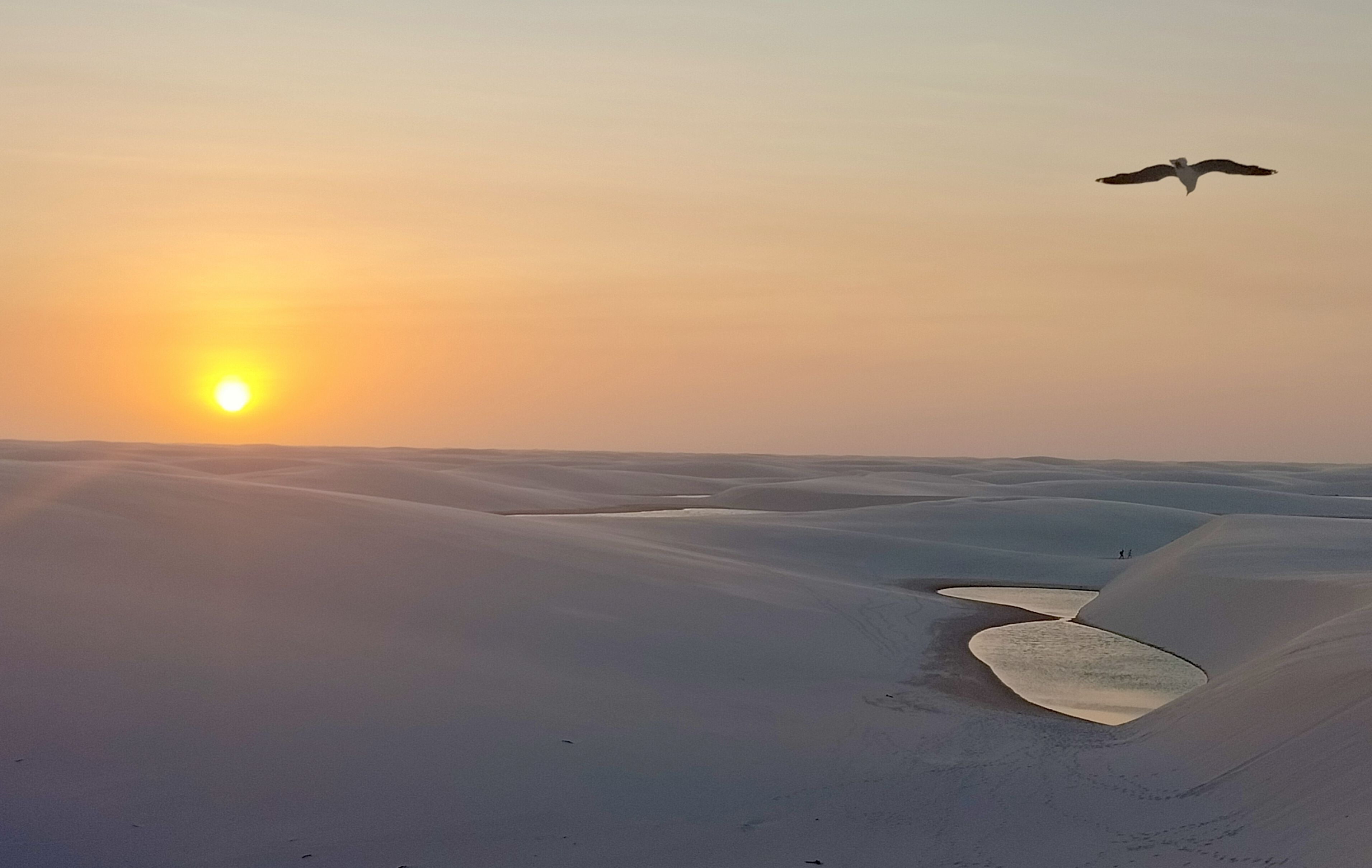 A vista d'ocell - Llençóis Maranhenses, Brasil FOTO: Conxita Sazatornil Almirall