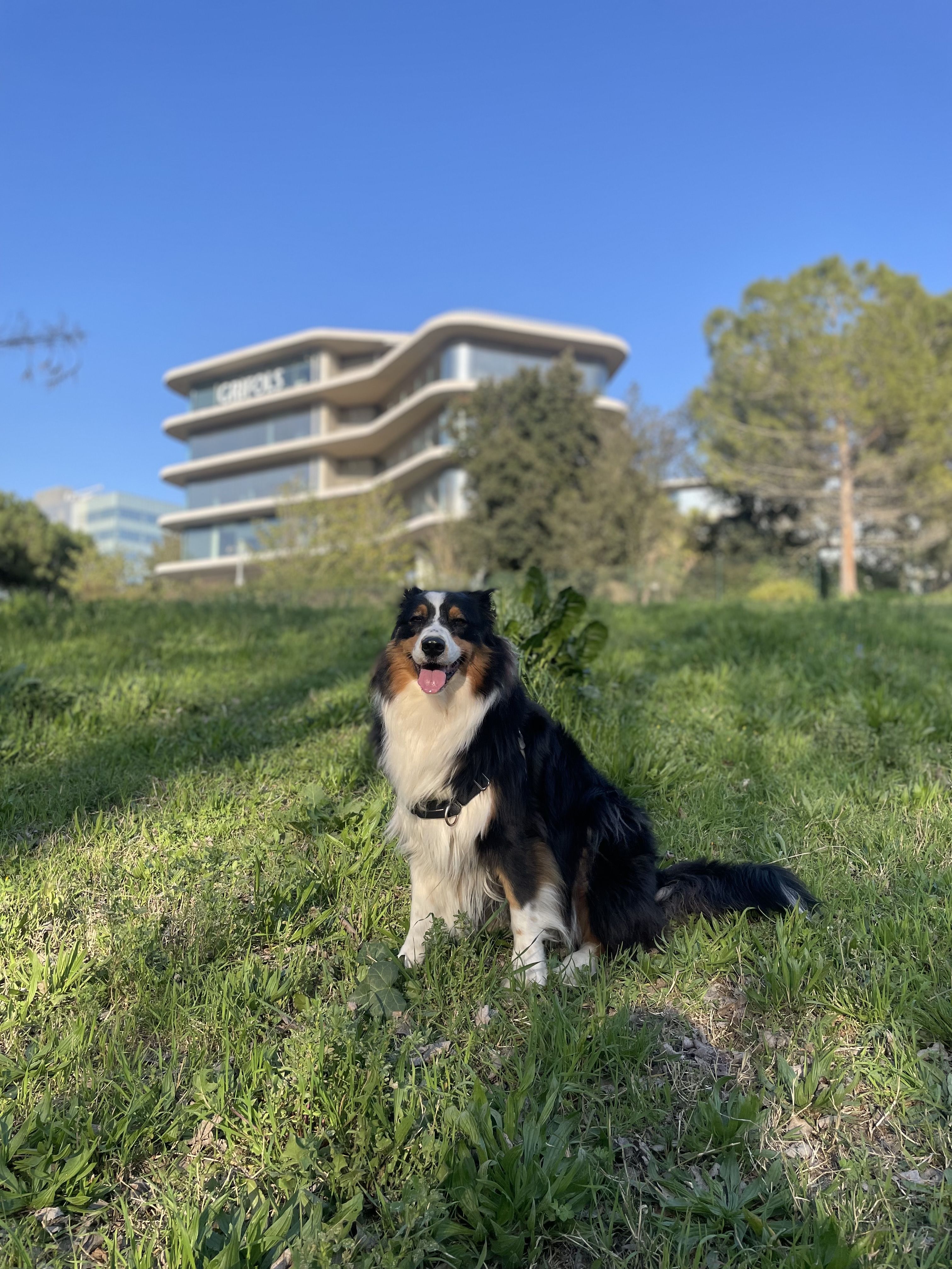 A la fresca - Grifols, Sant Cugat FOTO: Alex Vegas