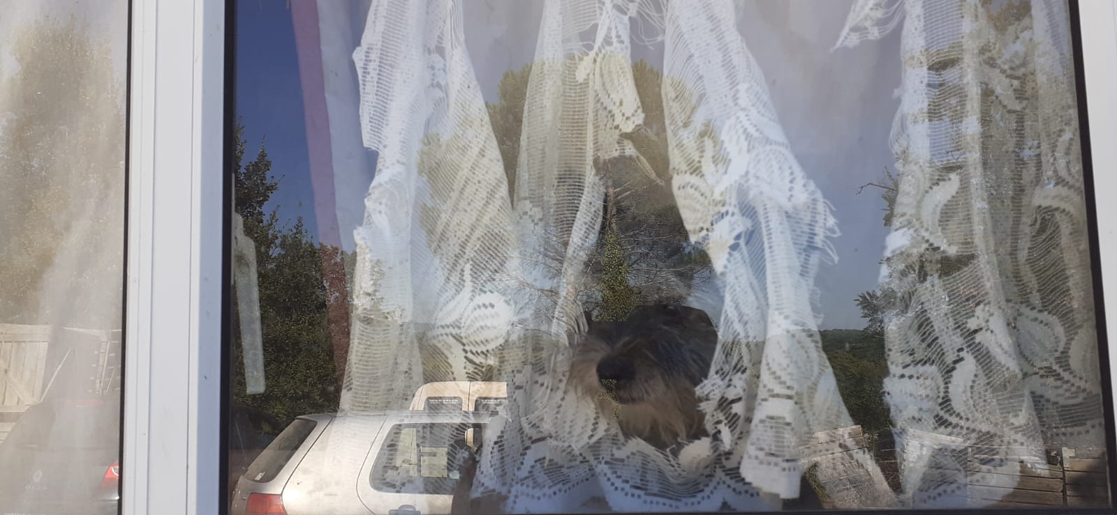 1 - València FOTO: Mahe Helene