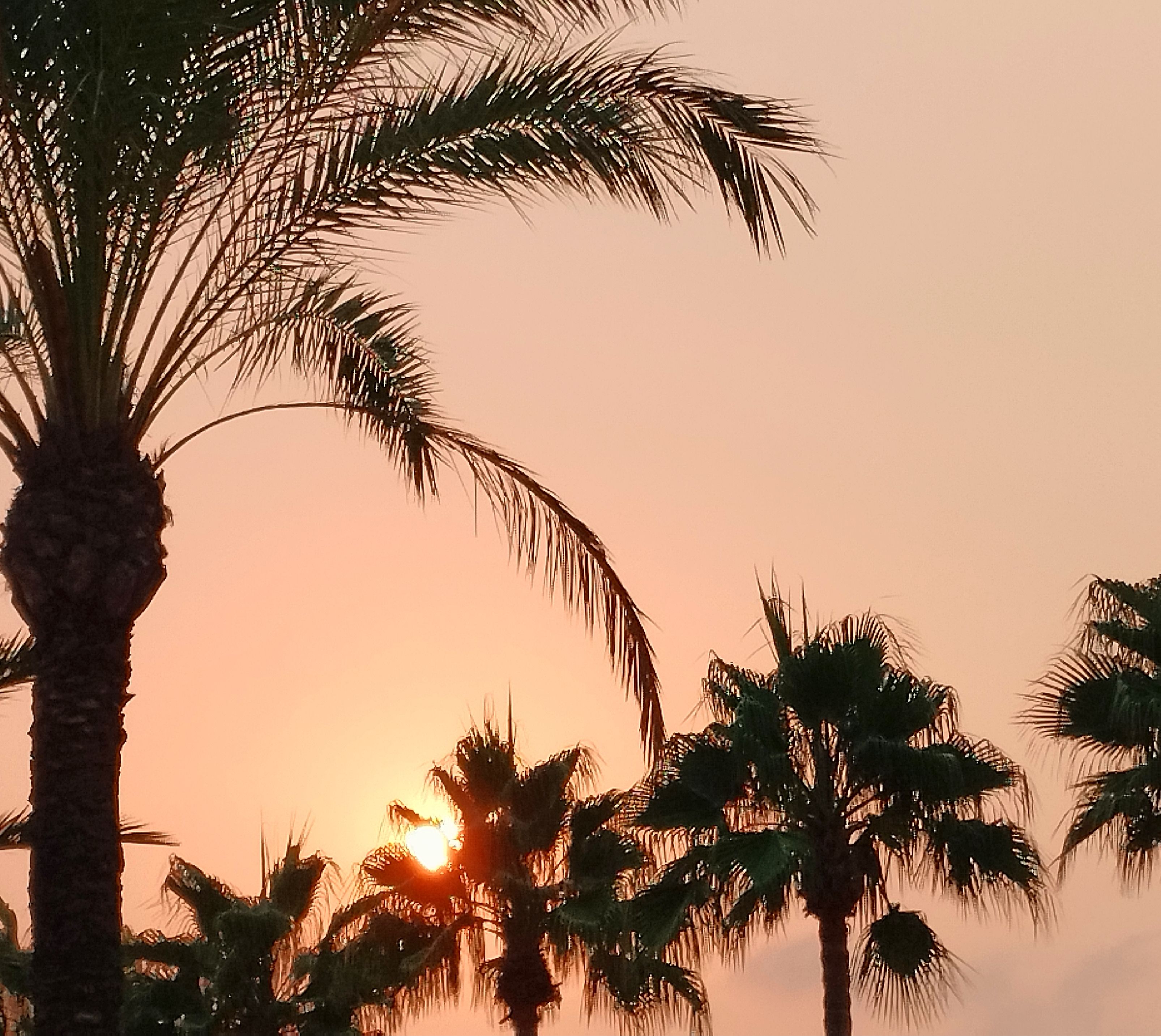 Miami en Vilanova i la Geltrú - Vilanova i la Geltrú FOTO: María Teresa Olivares Gadea