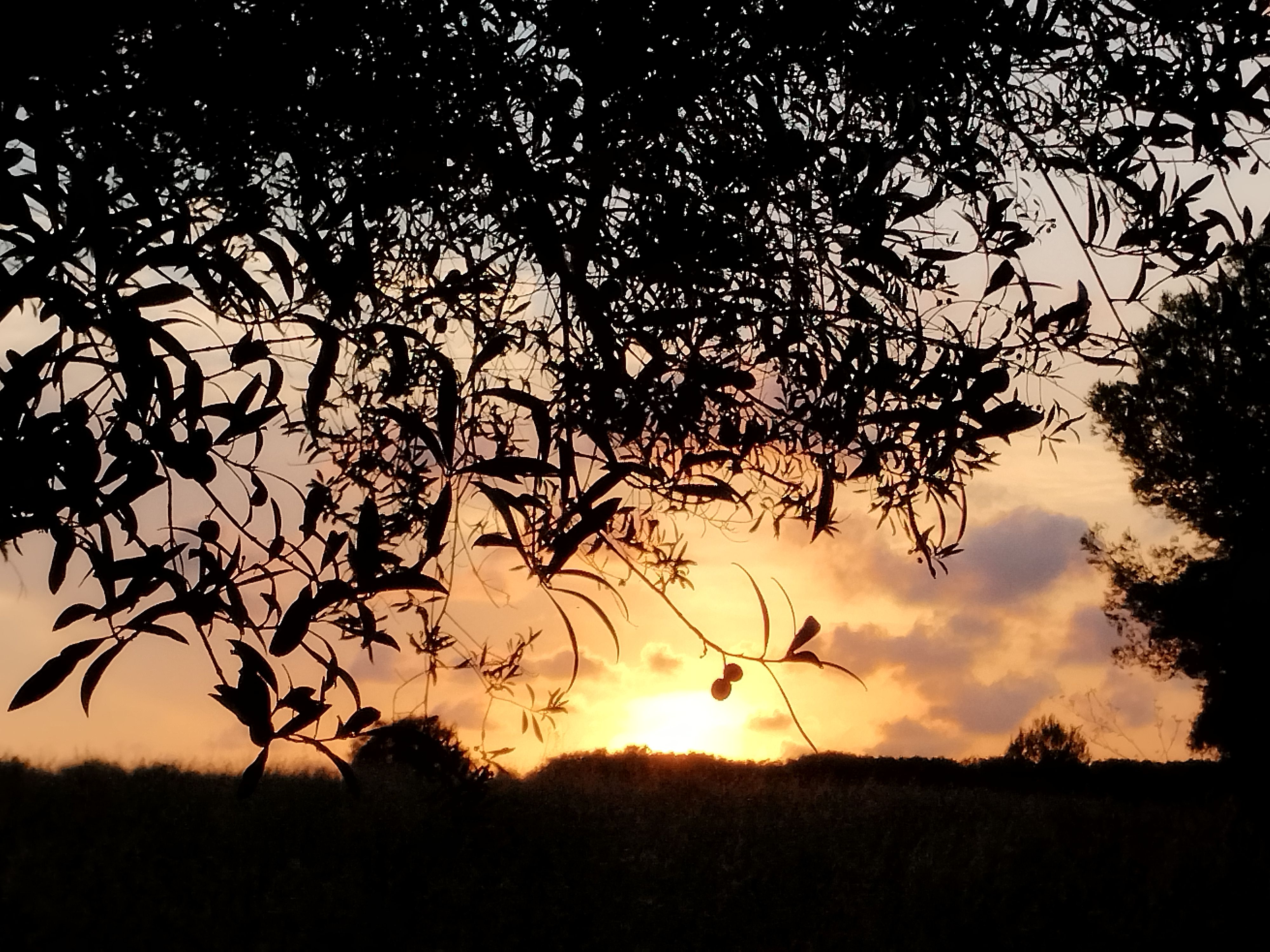 Promesas - Vilanova i la Geltrú FOTO: María Teresa Olivares Gadea