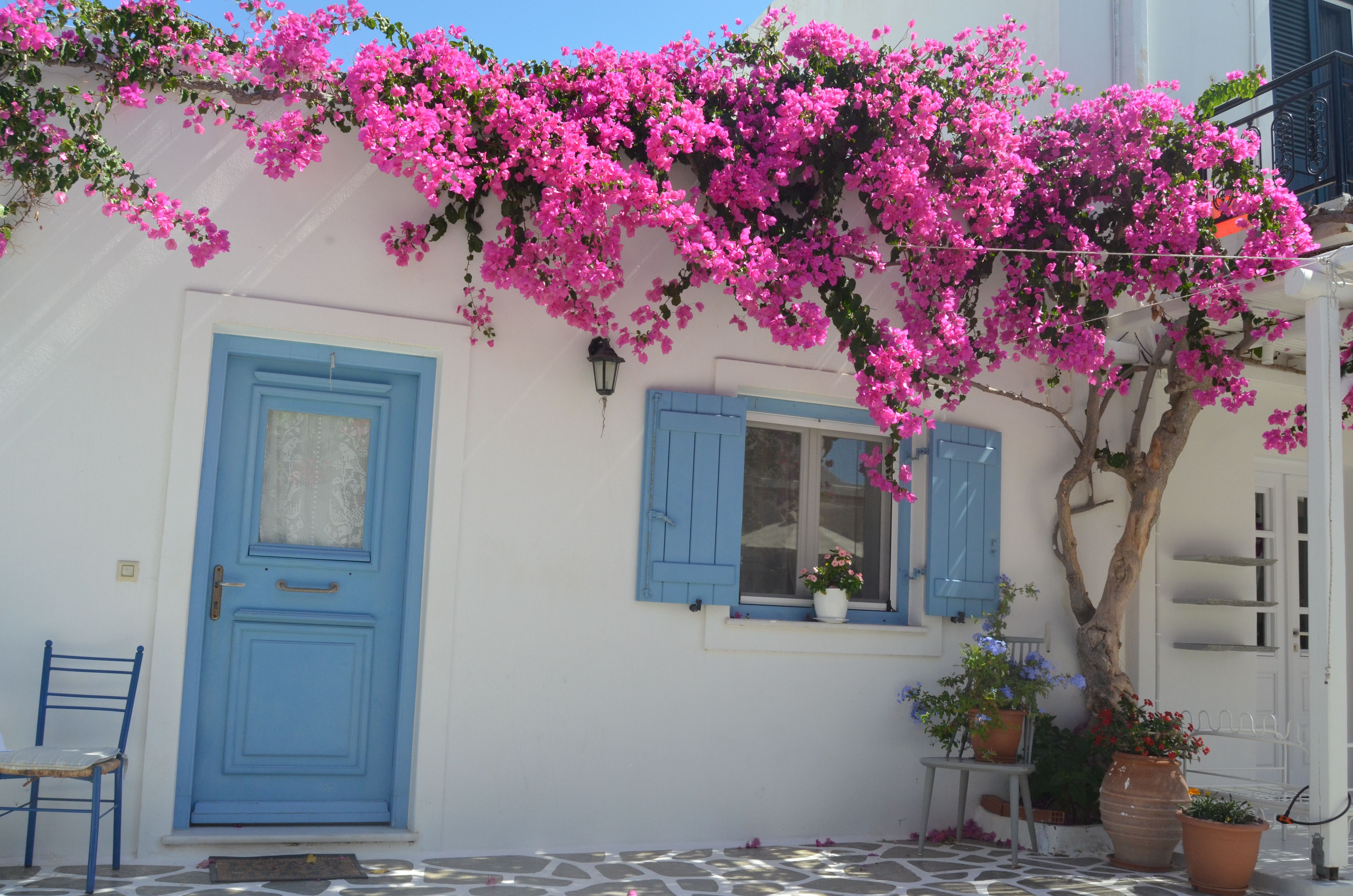 En blau i rosa - Antíparos, Grècia FOTO: Mari Paz Villalba García