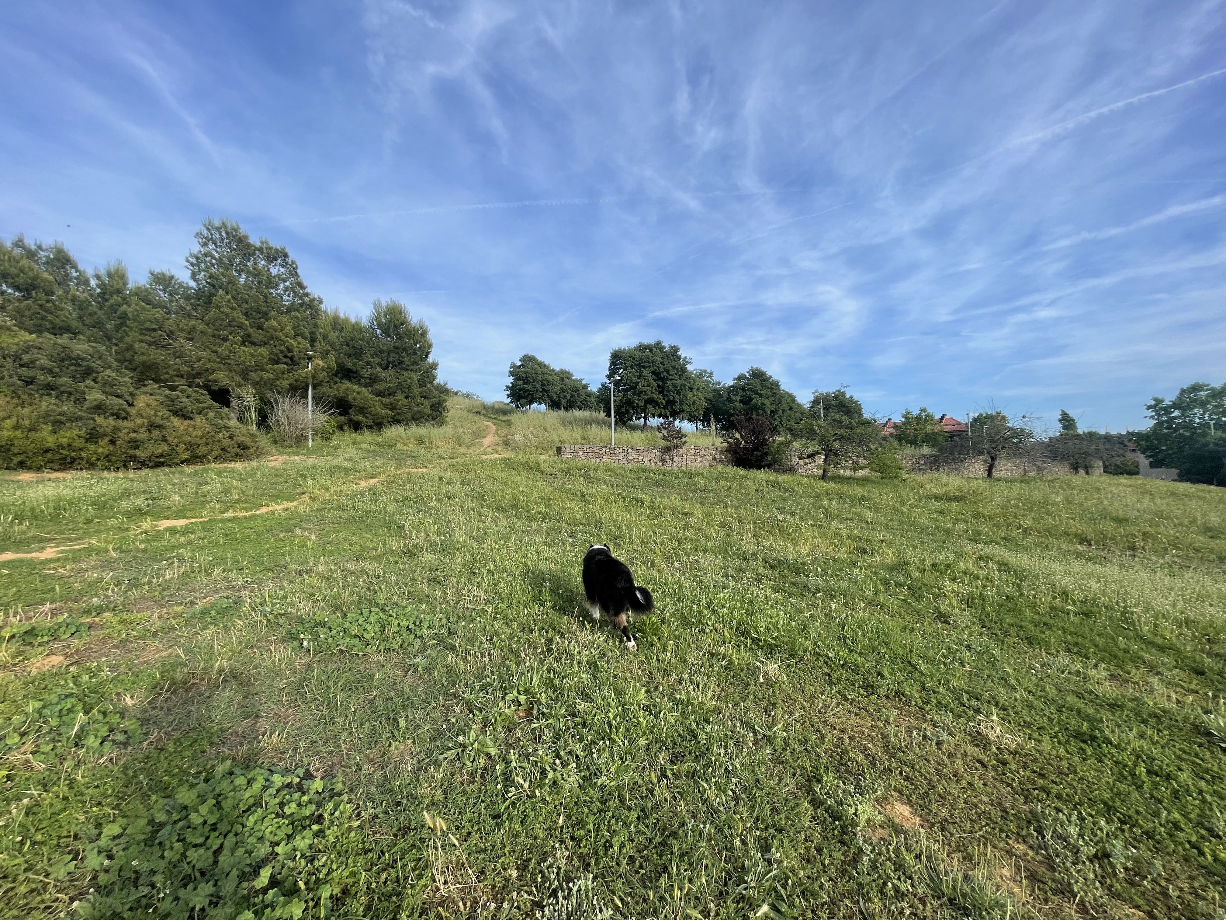 Atardecer en Can Matas - Sant Cugat FOTO: Alex Vegas