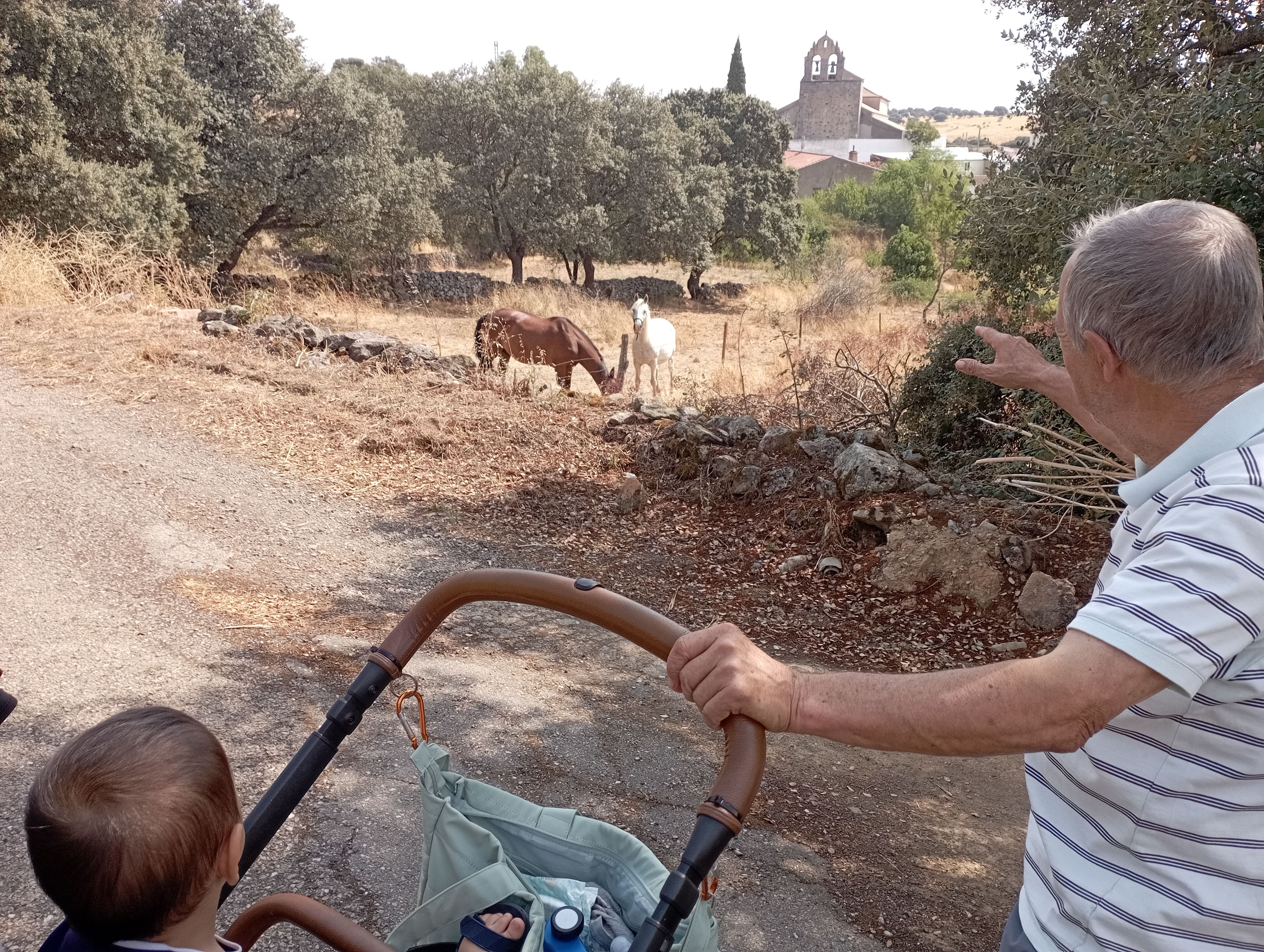 Avi - Santibáñez de la Sierra FOTO: M. Pilar Sànchez Garcia